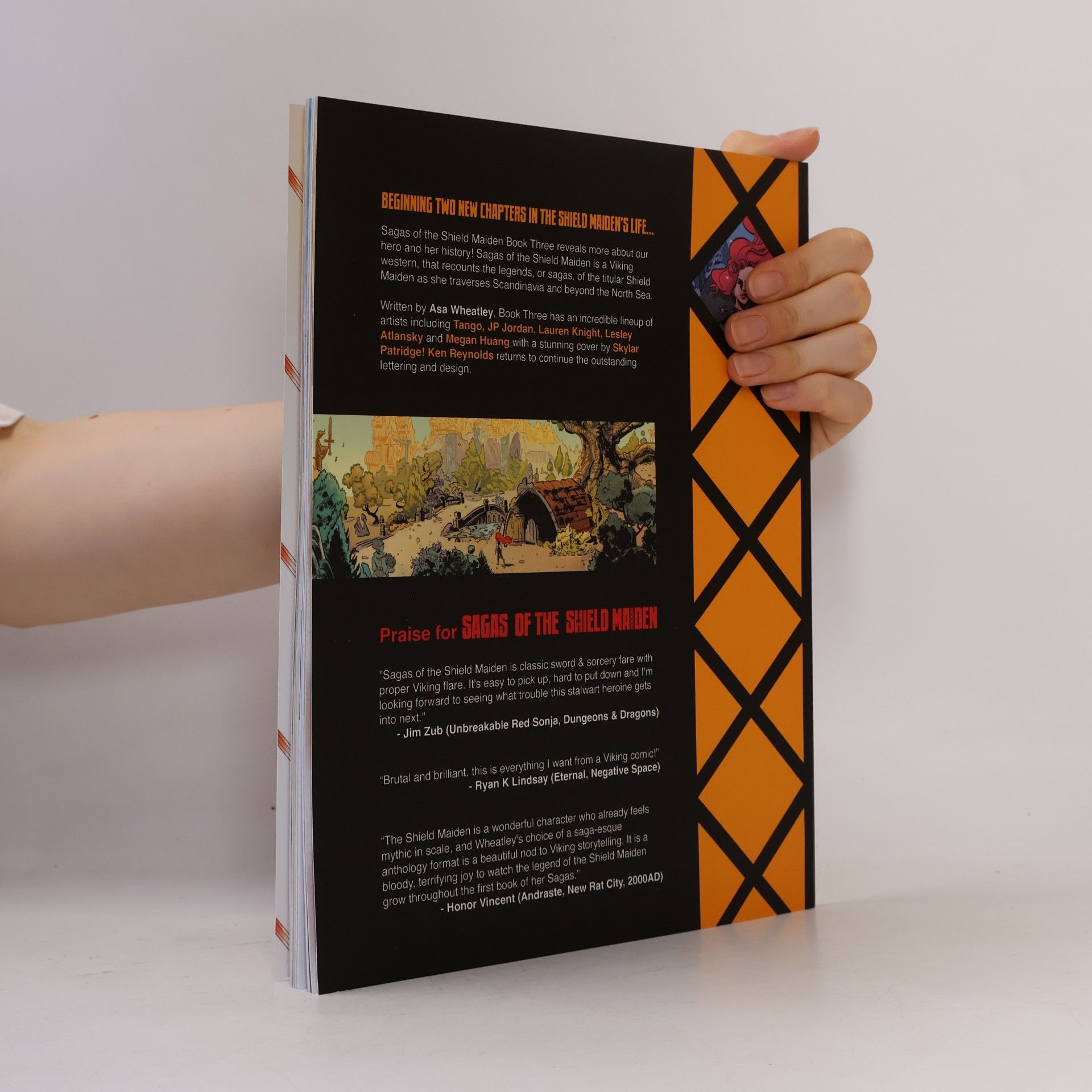 Autorenkollektiv Sagas of The Shield Maiden 3