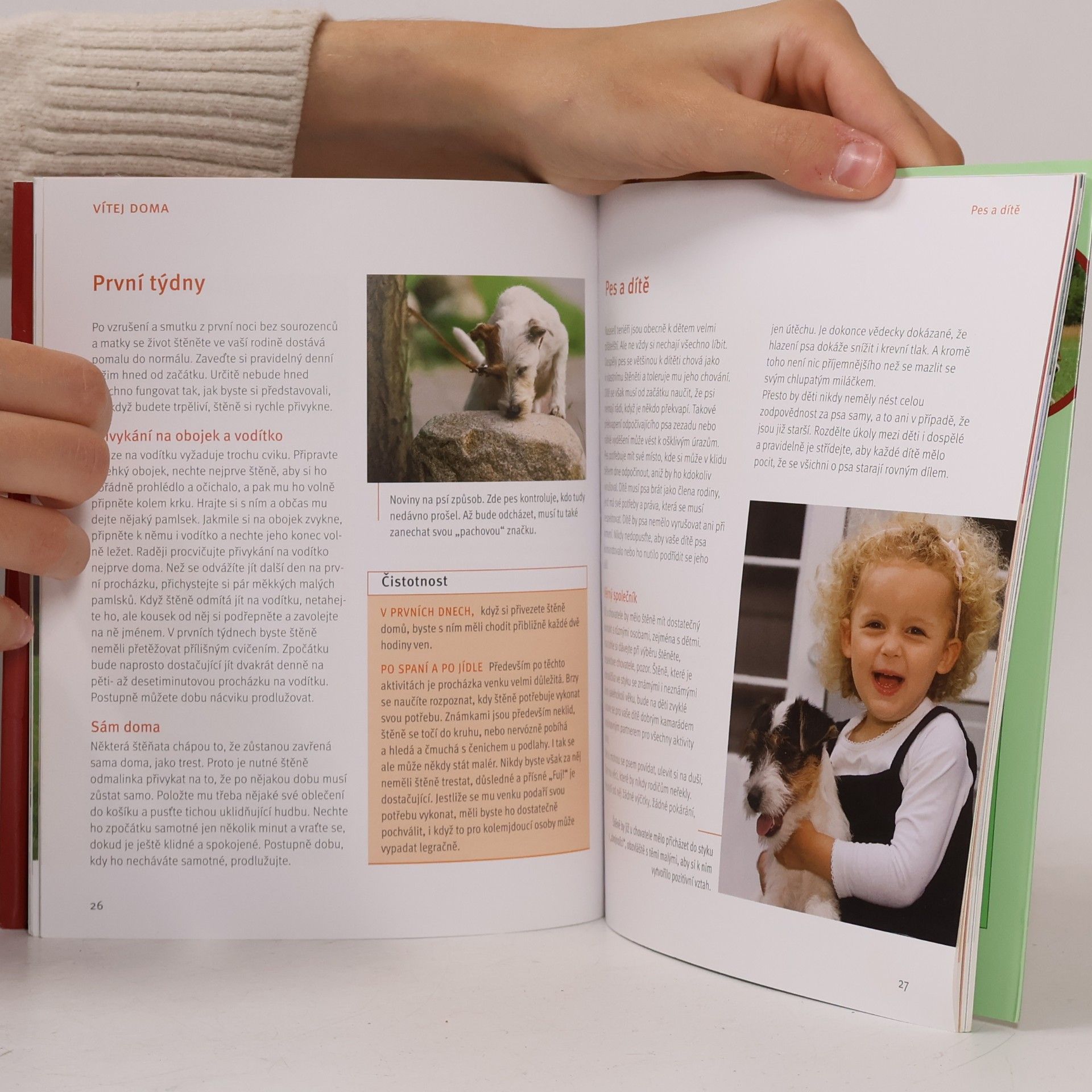 Karin Wegner Parson a Jack Russell teriér