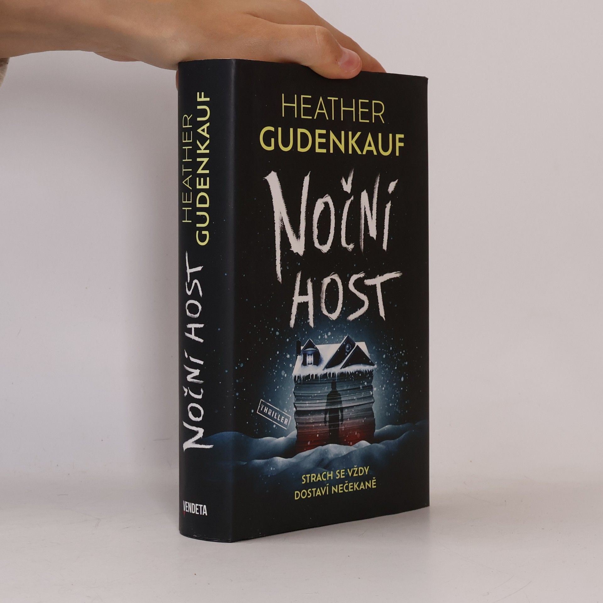 Heather Gudenkauf Noční host