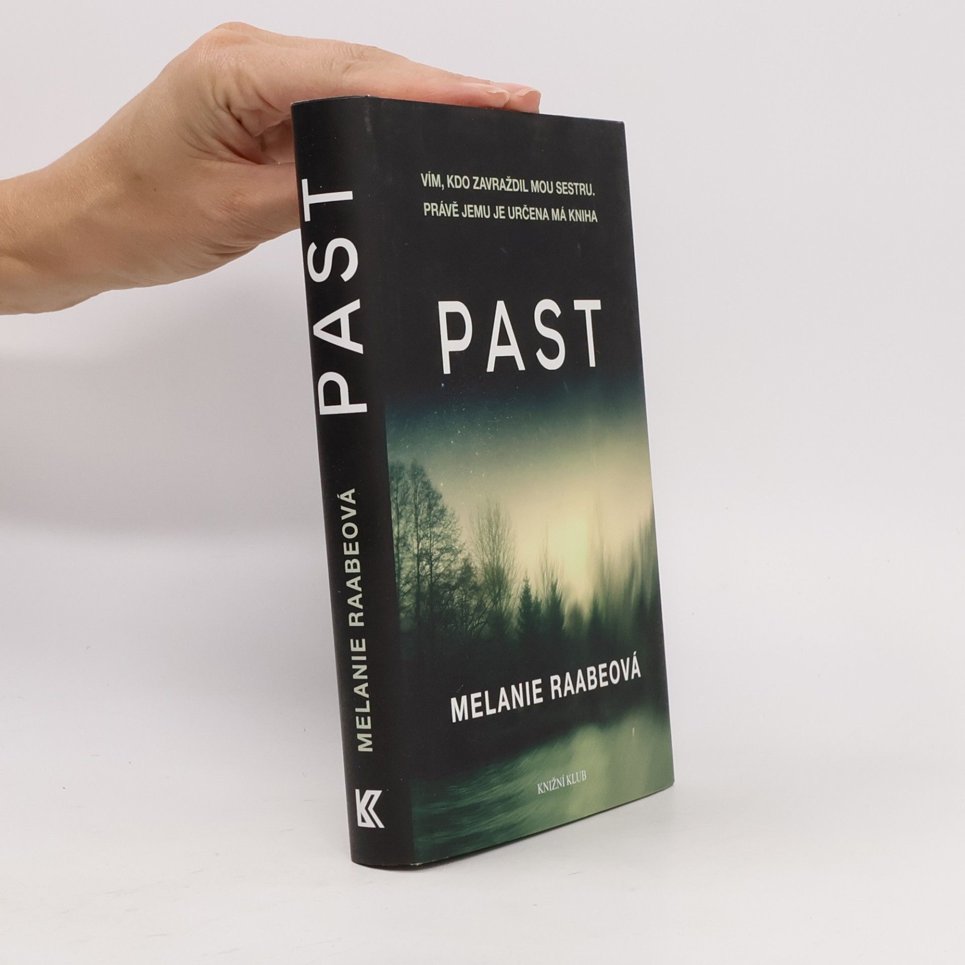 Melanie Raabe Past