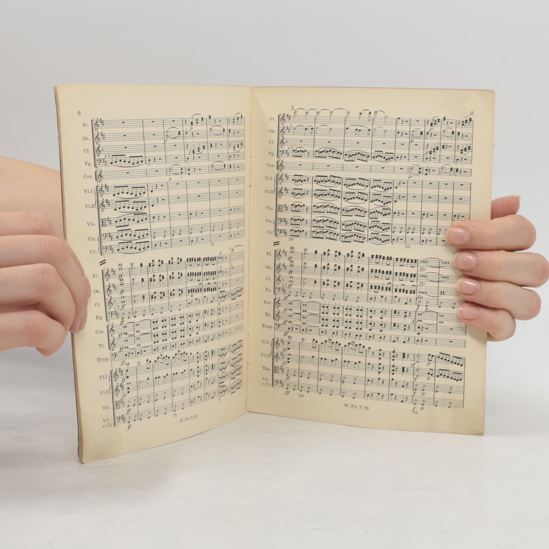 Wolfgang Amadeus Mozart Figaros Hochzeit