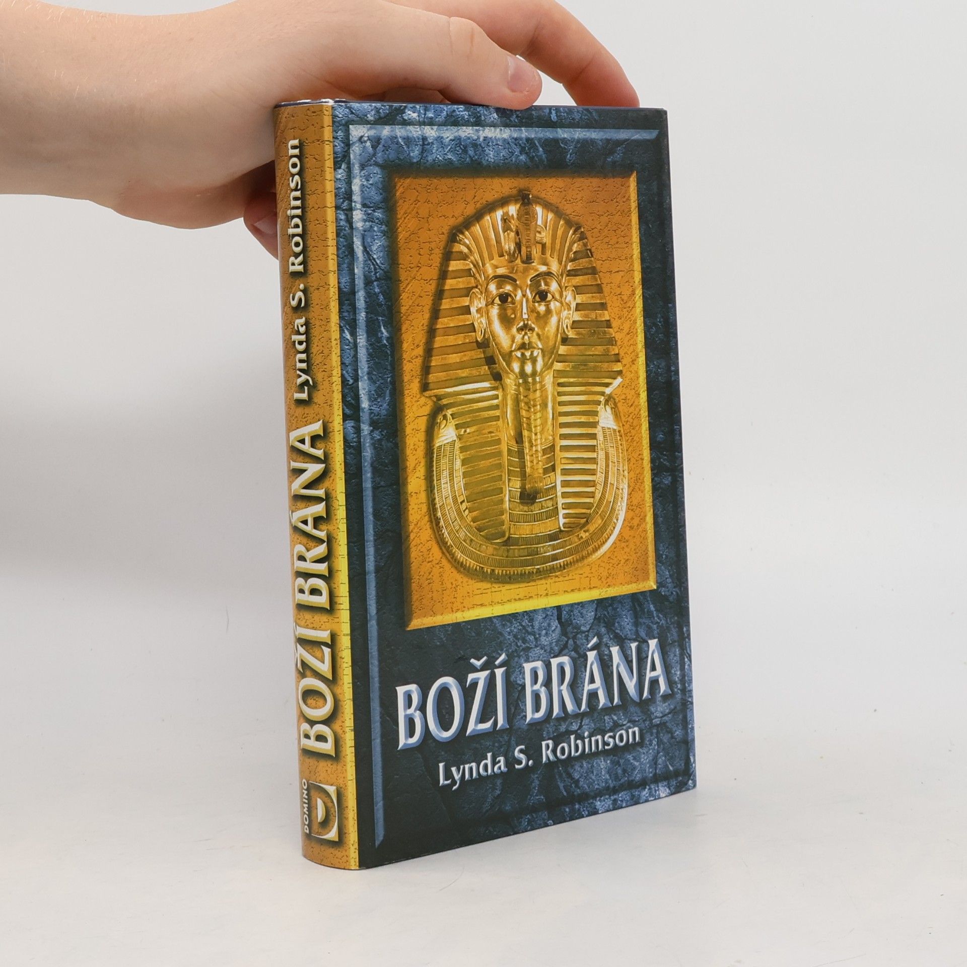 Suzanne Robinson Boží brána