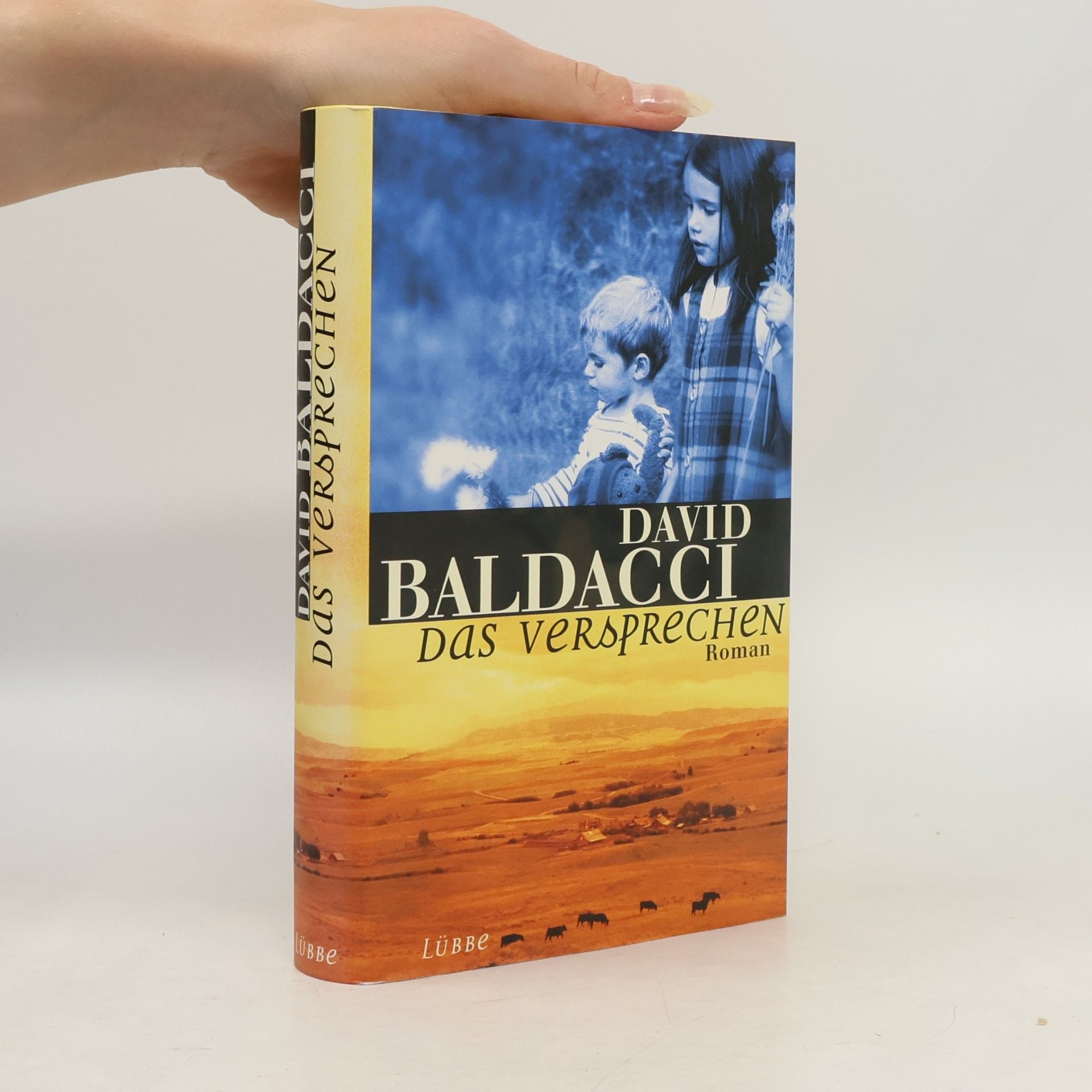 David Baldacci Das Versprechen