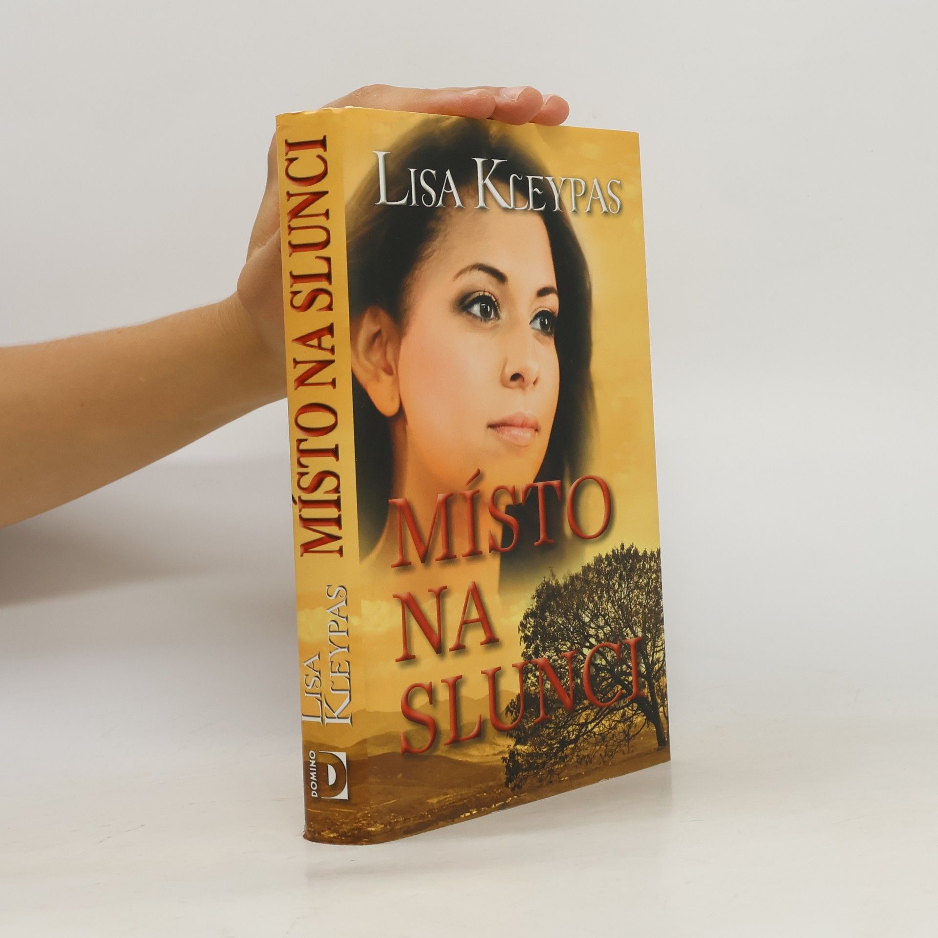 Lisa Kleypas Místo na slunci