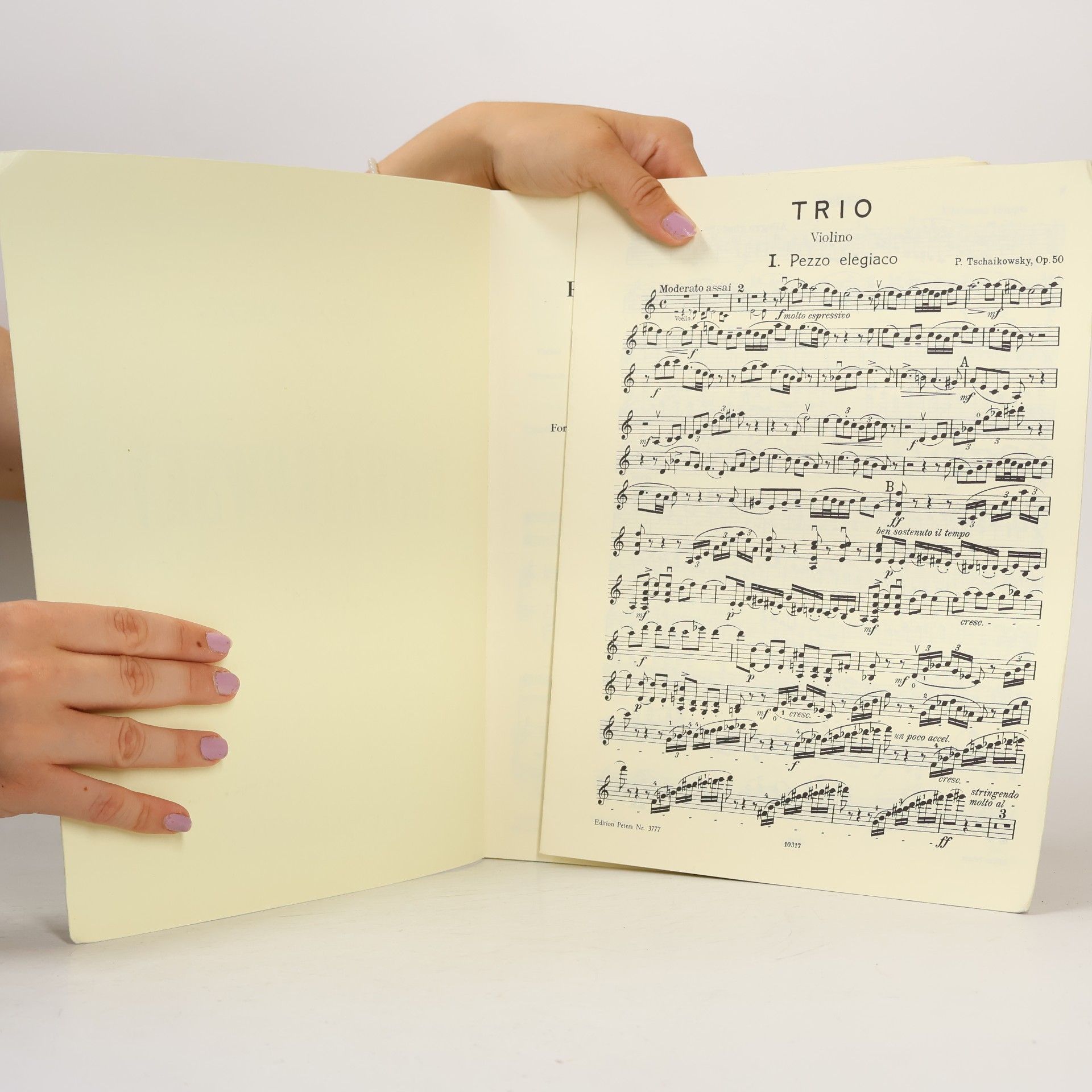 Pyotr Ilich Tchaikovsky Klaviertrio