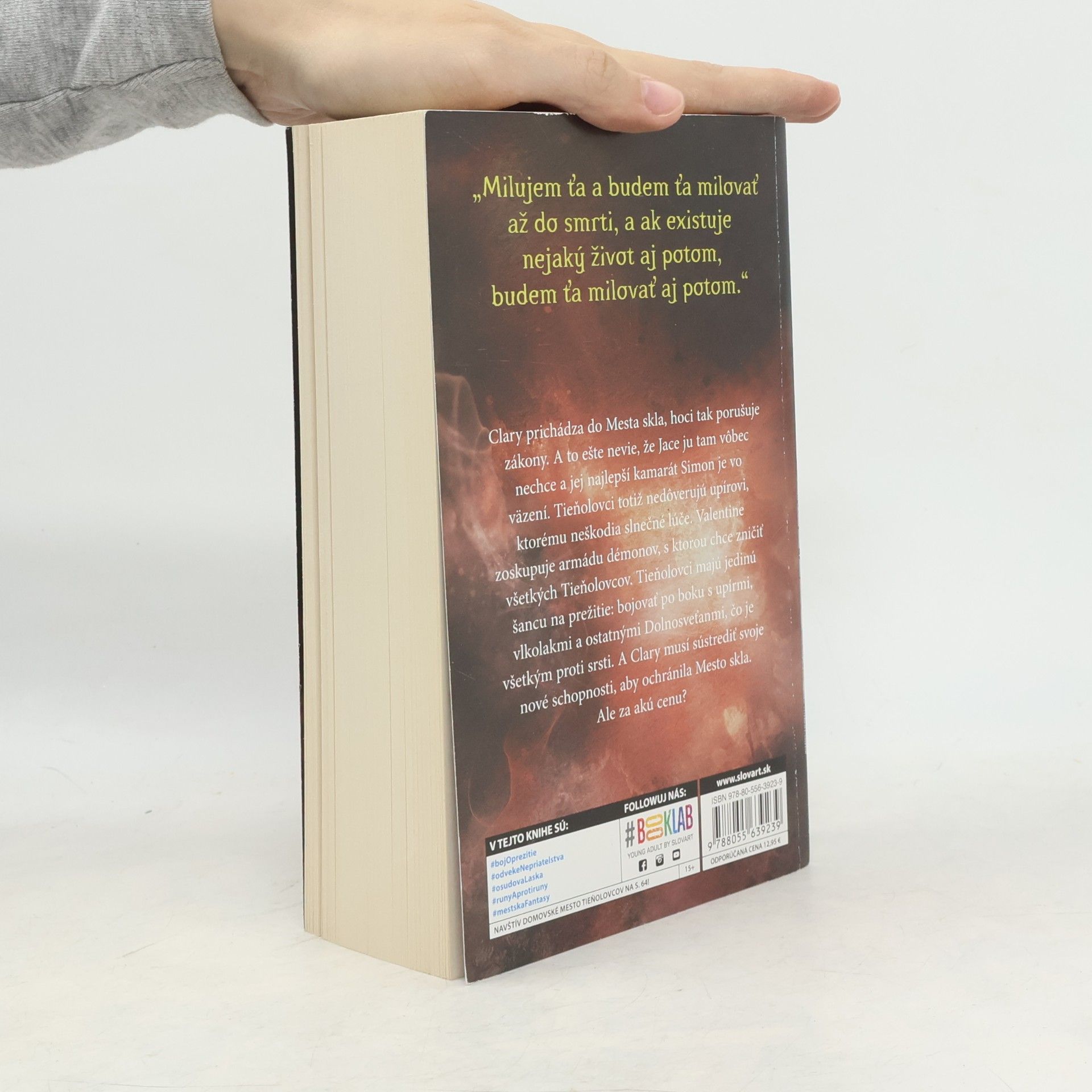 Cassandra Clare Mesto skla