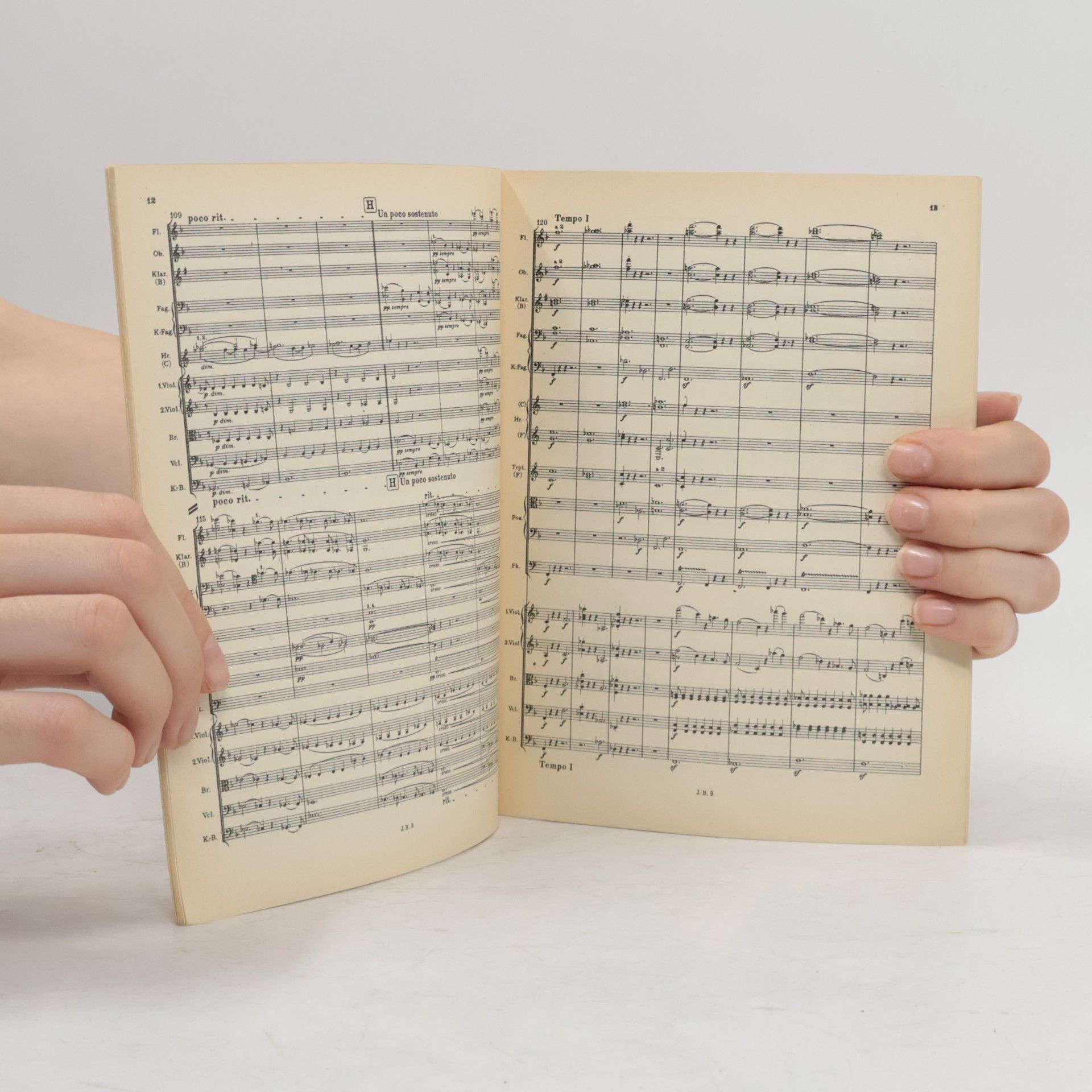 Johannes Brahms Symphonie Nr. 3