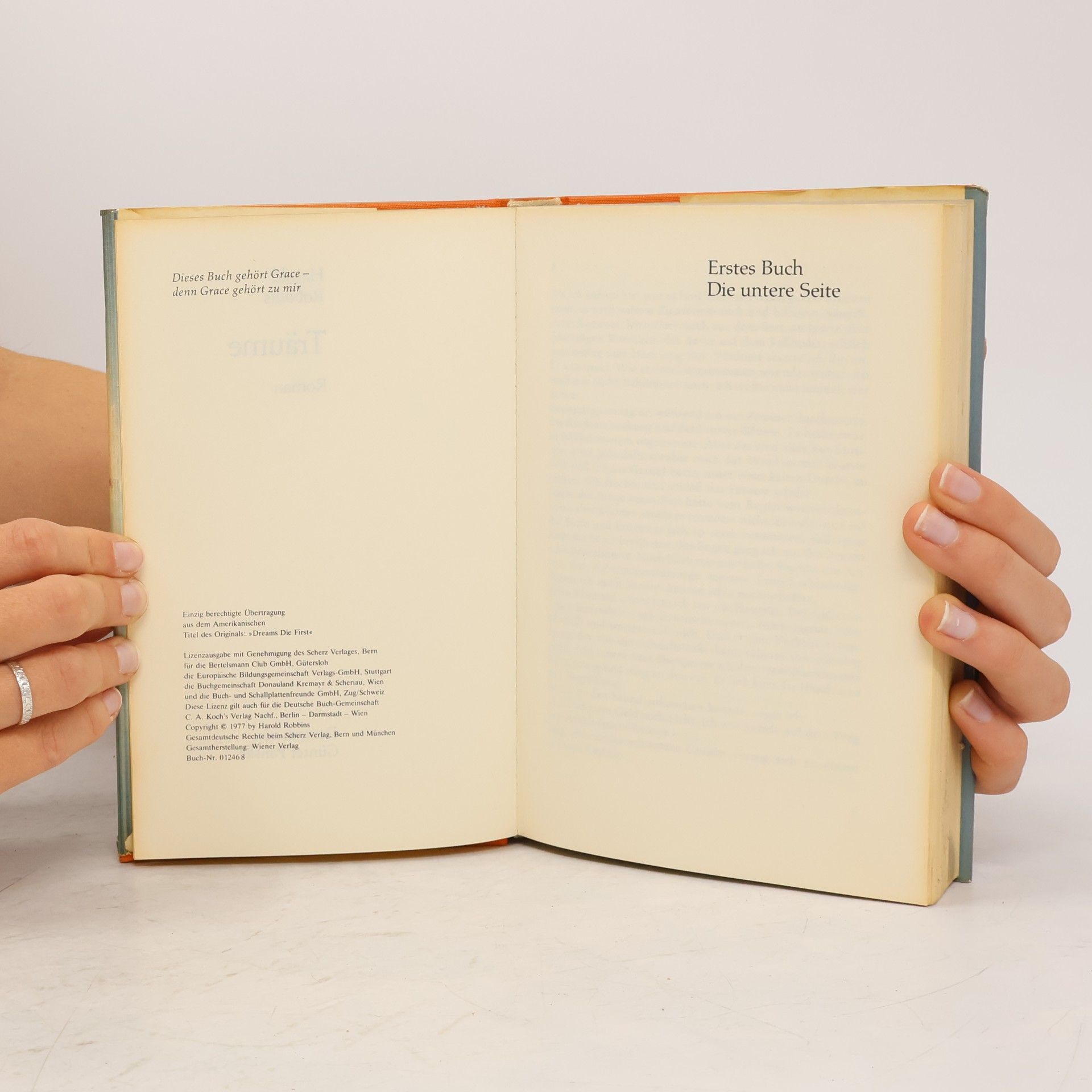 Harold Robbins Träume