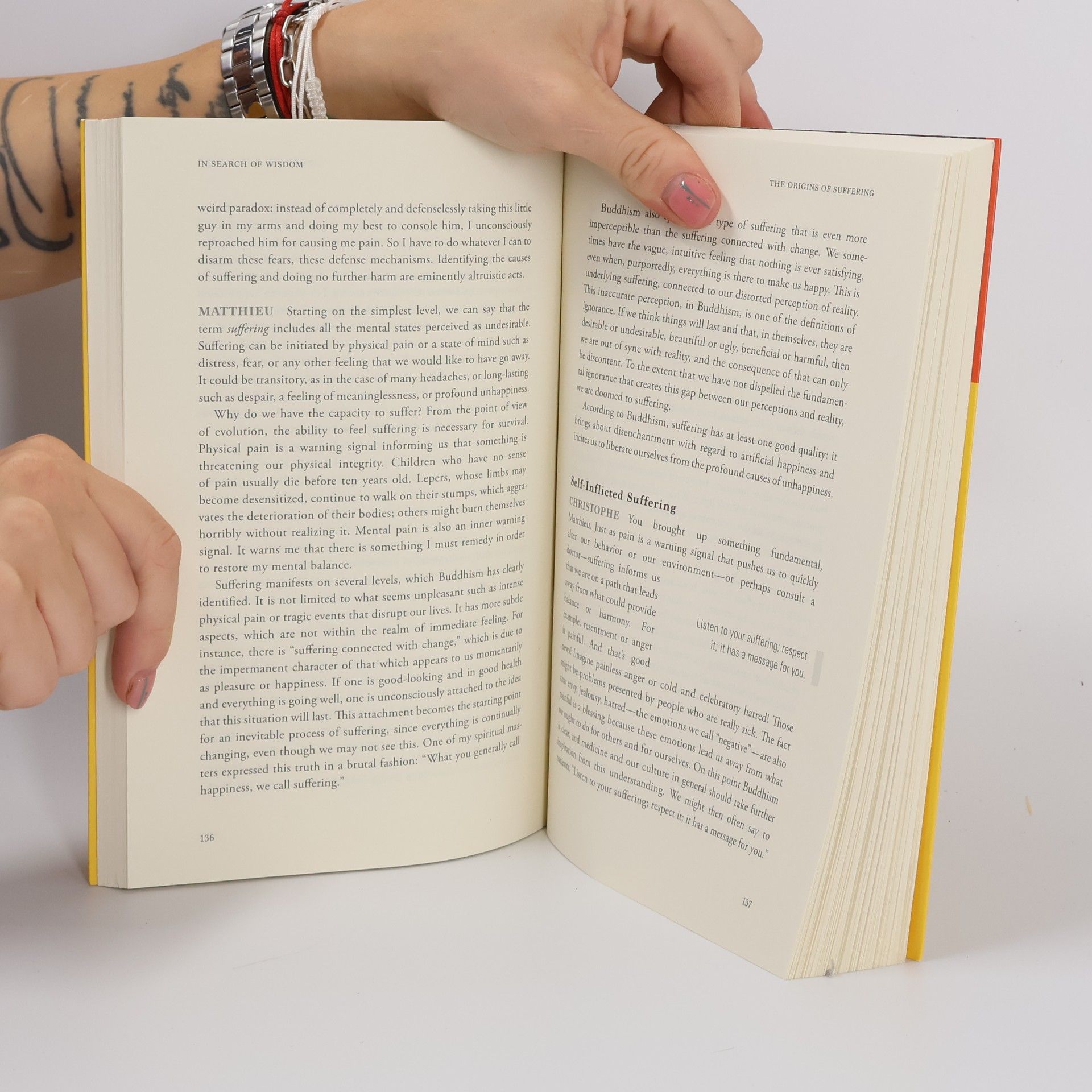 Matthieu Ricard In Search of Wisdom
