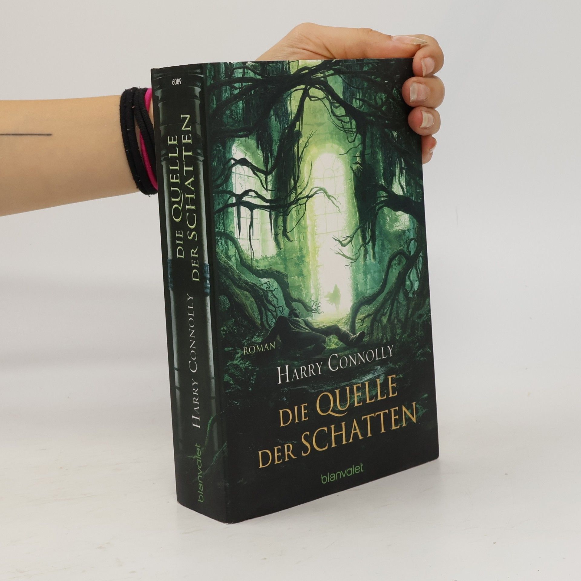 Harry Connolly Die Quelle der Schatten