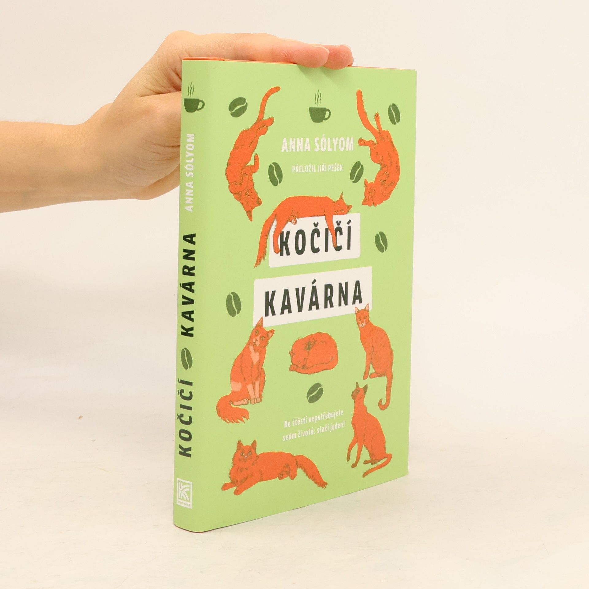Anna Sólyom Kočičí kavárna