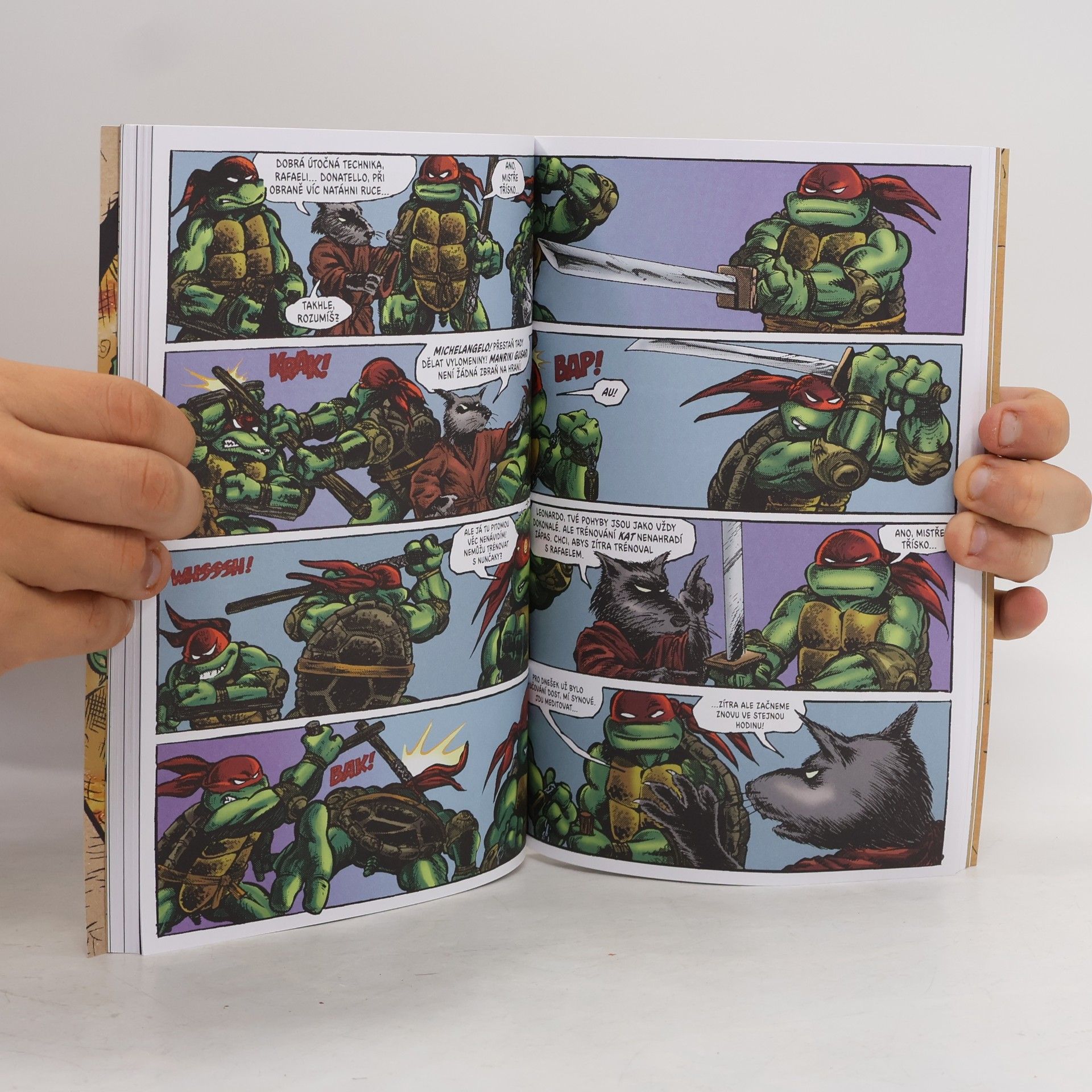 Kevin B. Eastman Želvy Ninja: Menu číslo 3