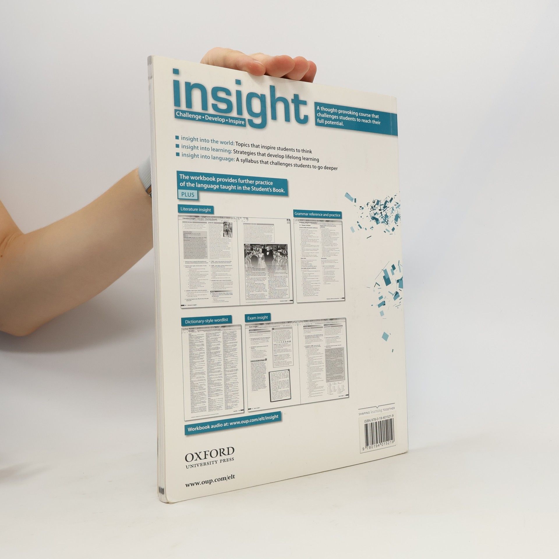Kolektiv autorů Insight Upper Intermediate Workbook
