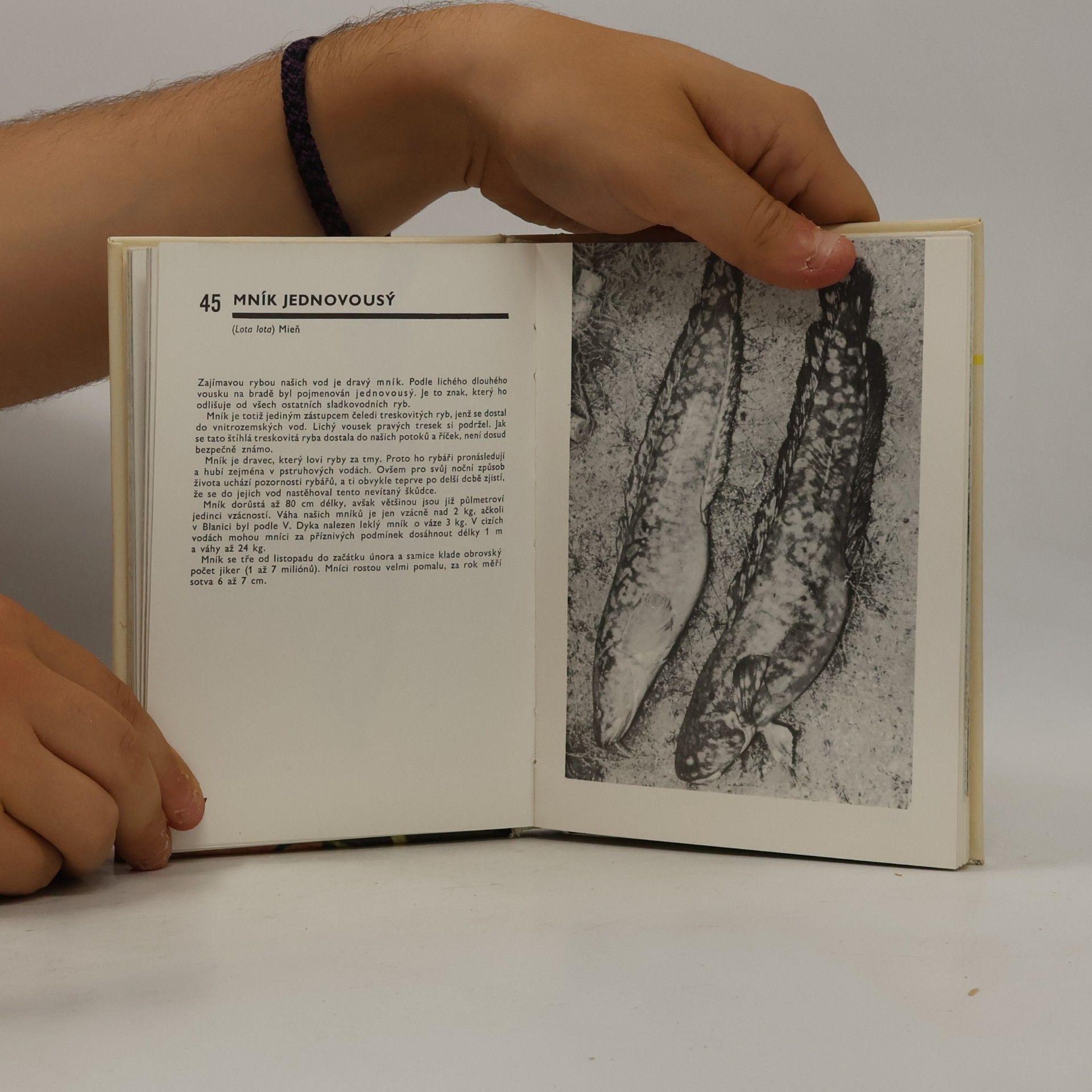 Otakar Štěpánek Kapesní atlas ryb, obojživelníků a plazů
