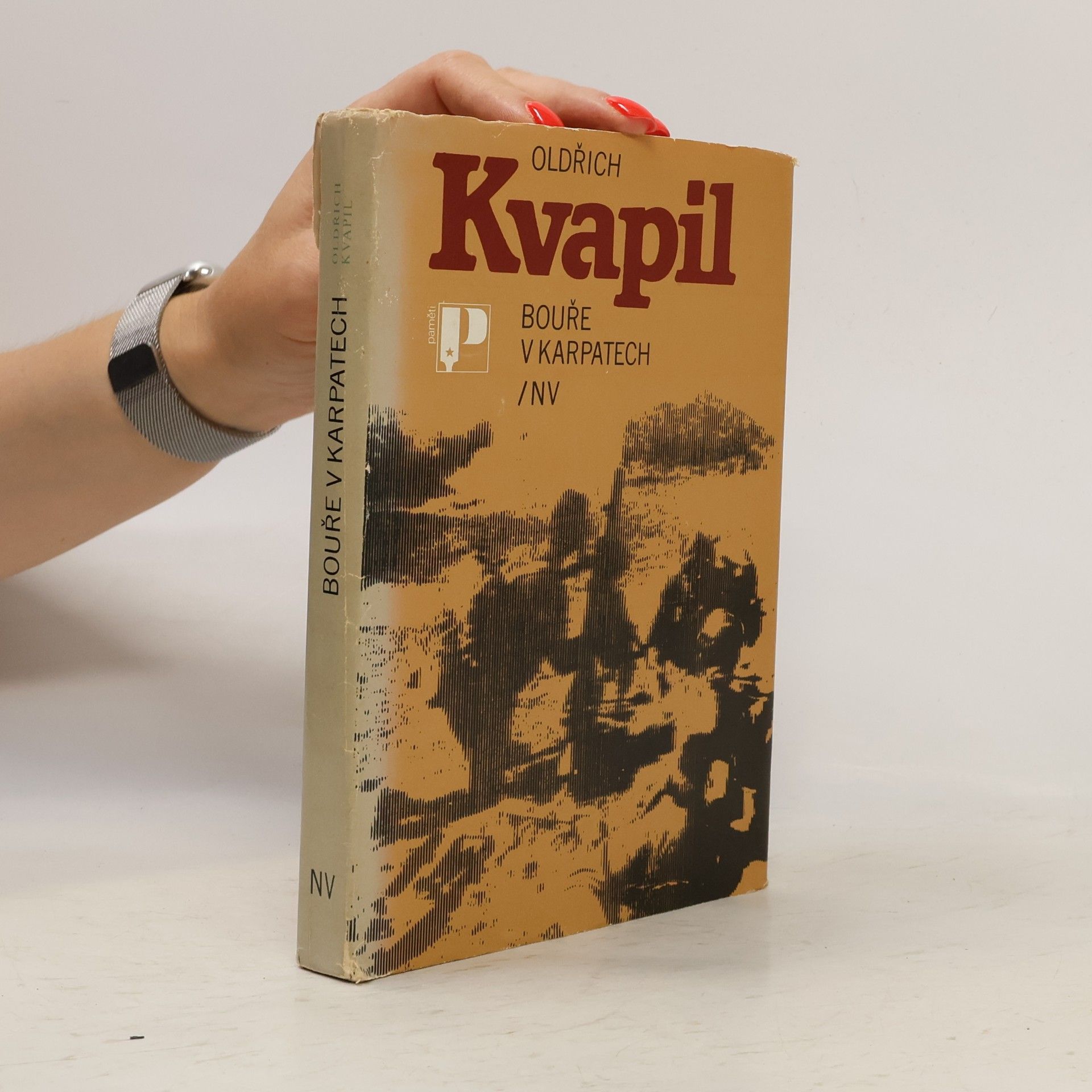 Oldřich Kvapil Bouře v Karpatech