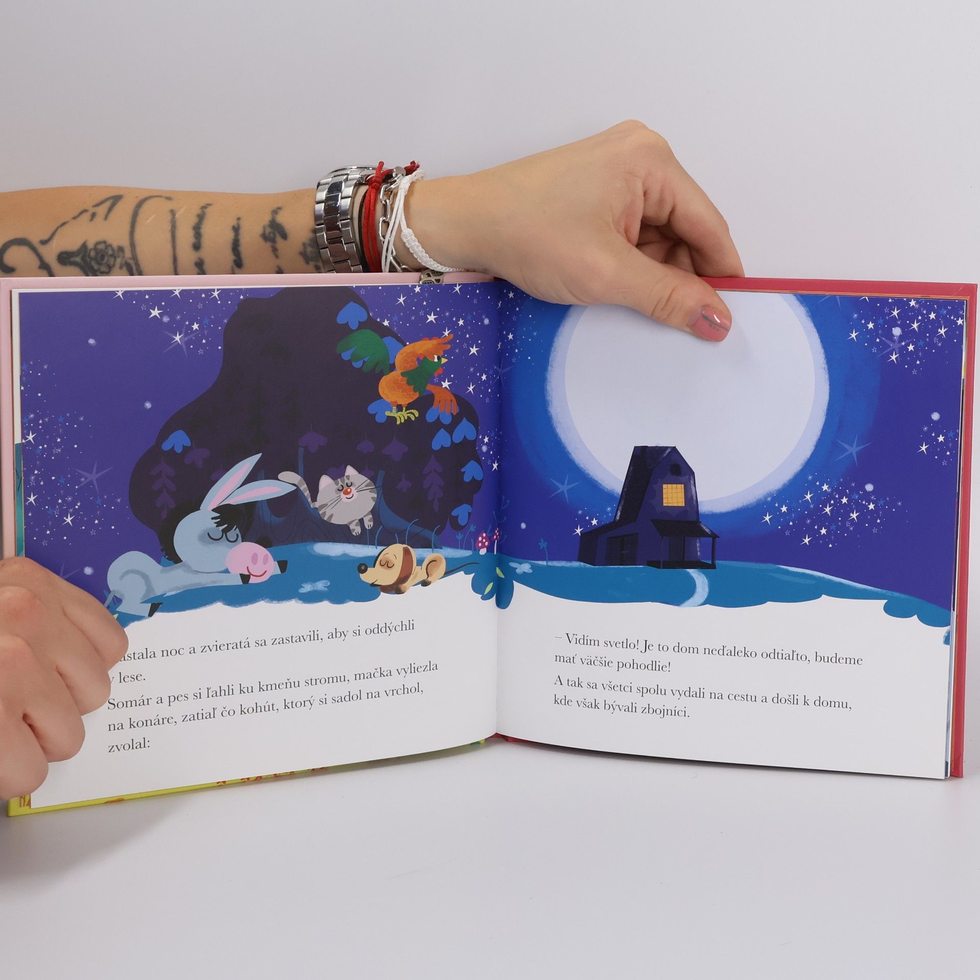 Autores varios Brémski muzikanti