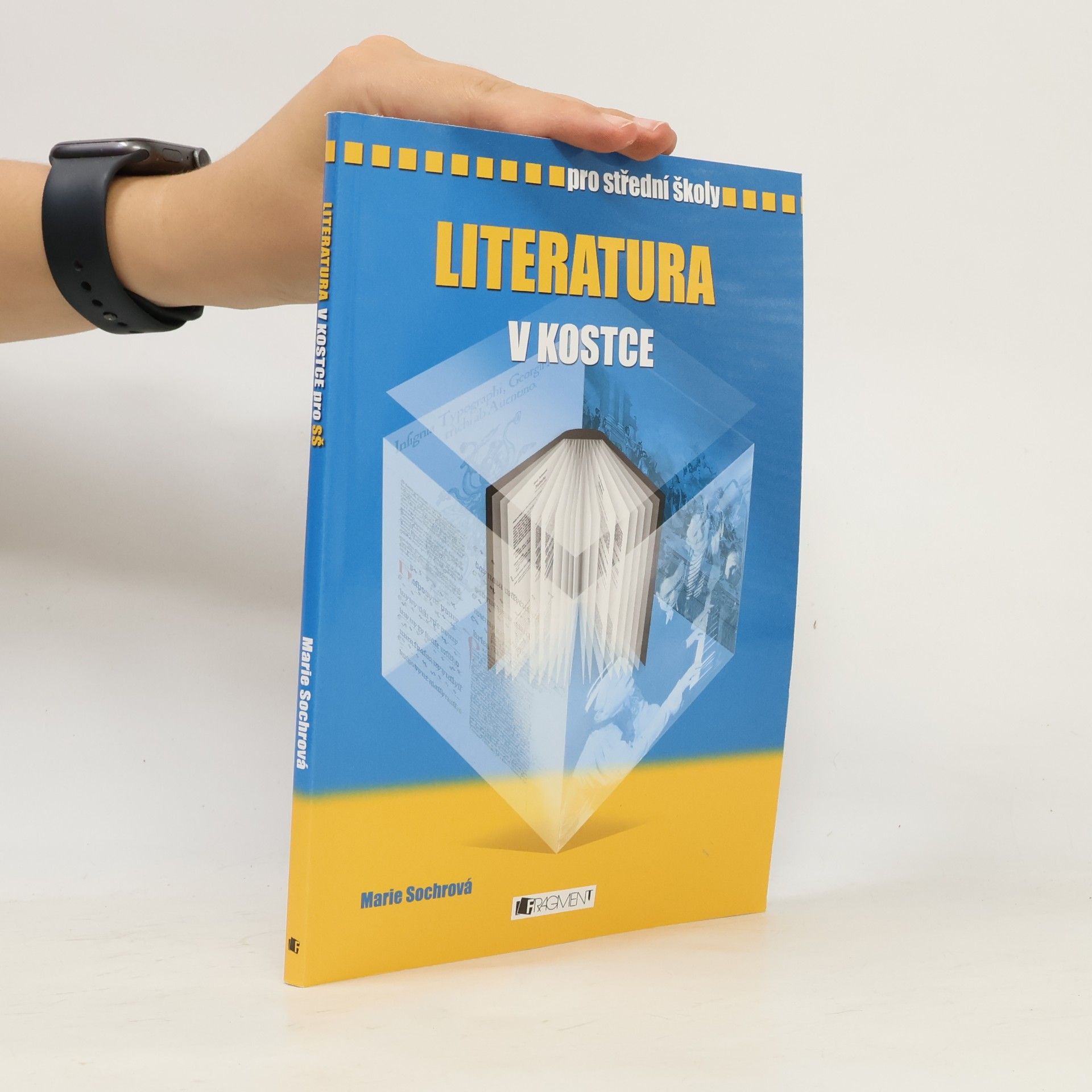 Marie Sochrová Literatura v kostce : pro střední školy