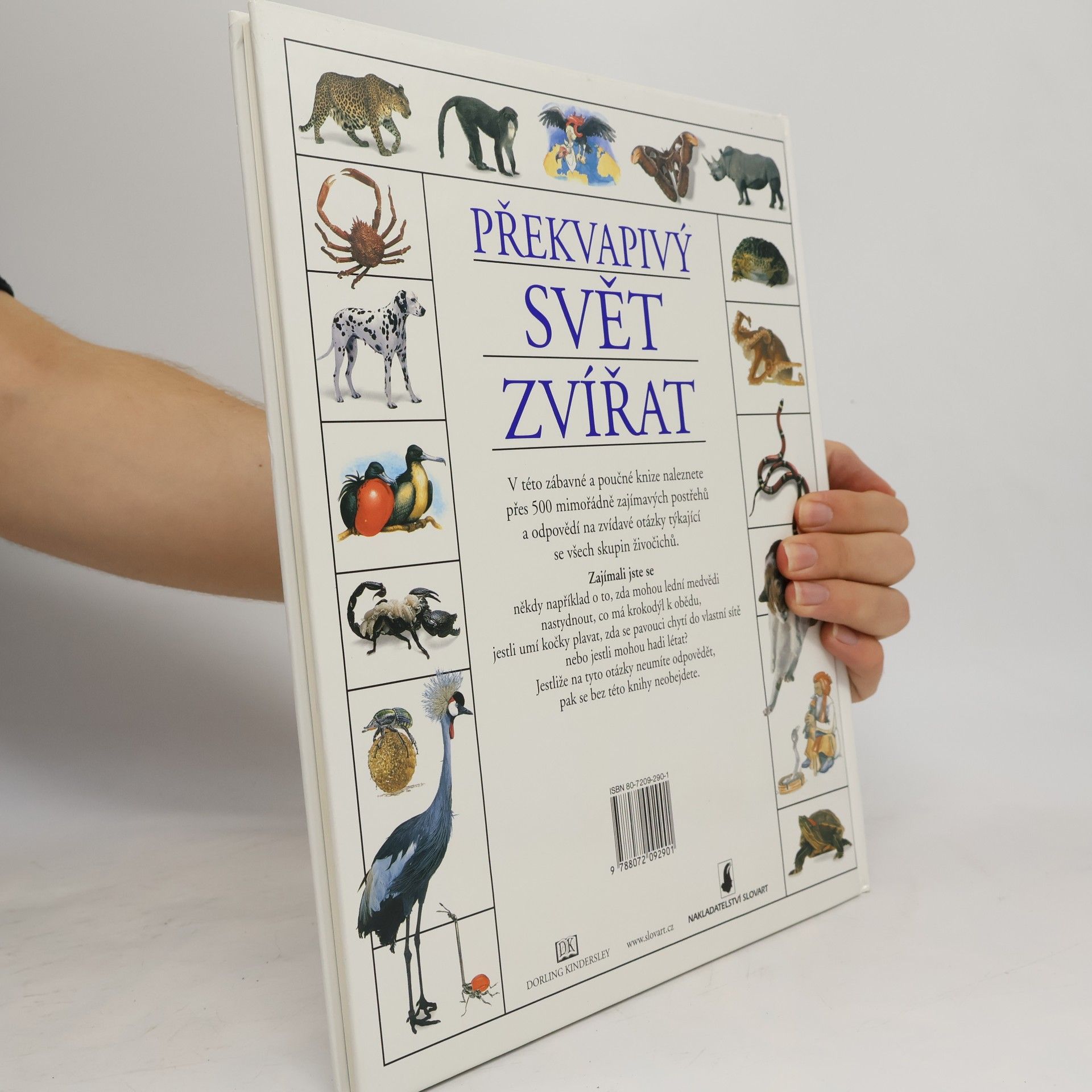 Christopher Maynard Překvapivý svět zvířat