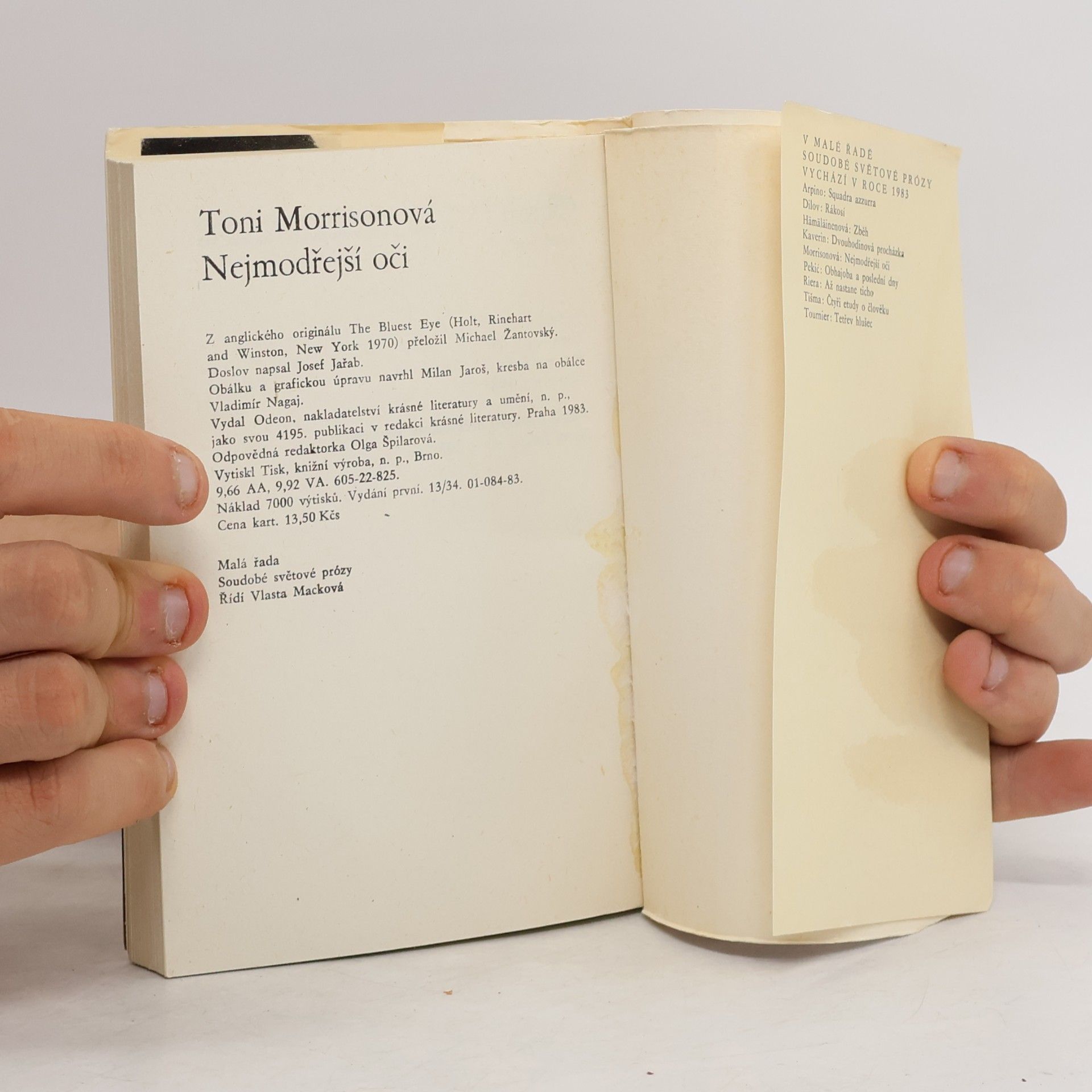 Toni Morrison Nejmodřejší oči