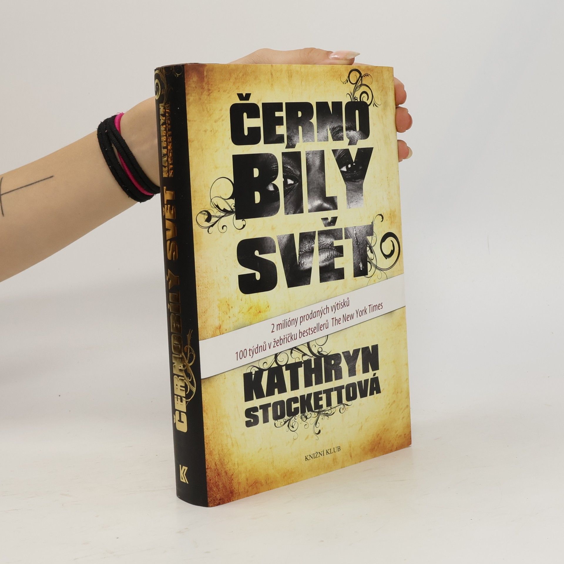 Kathryn Stockett Černobílý svět