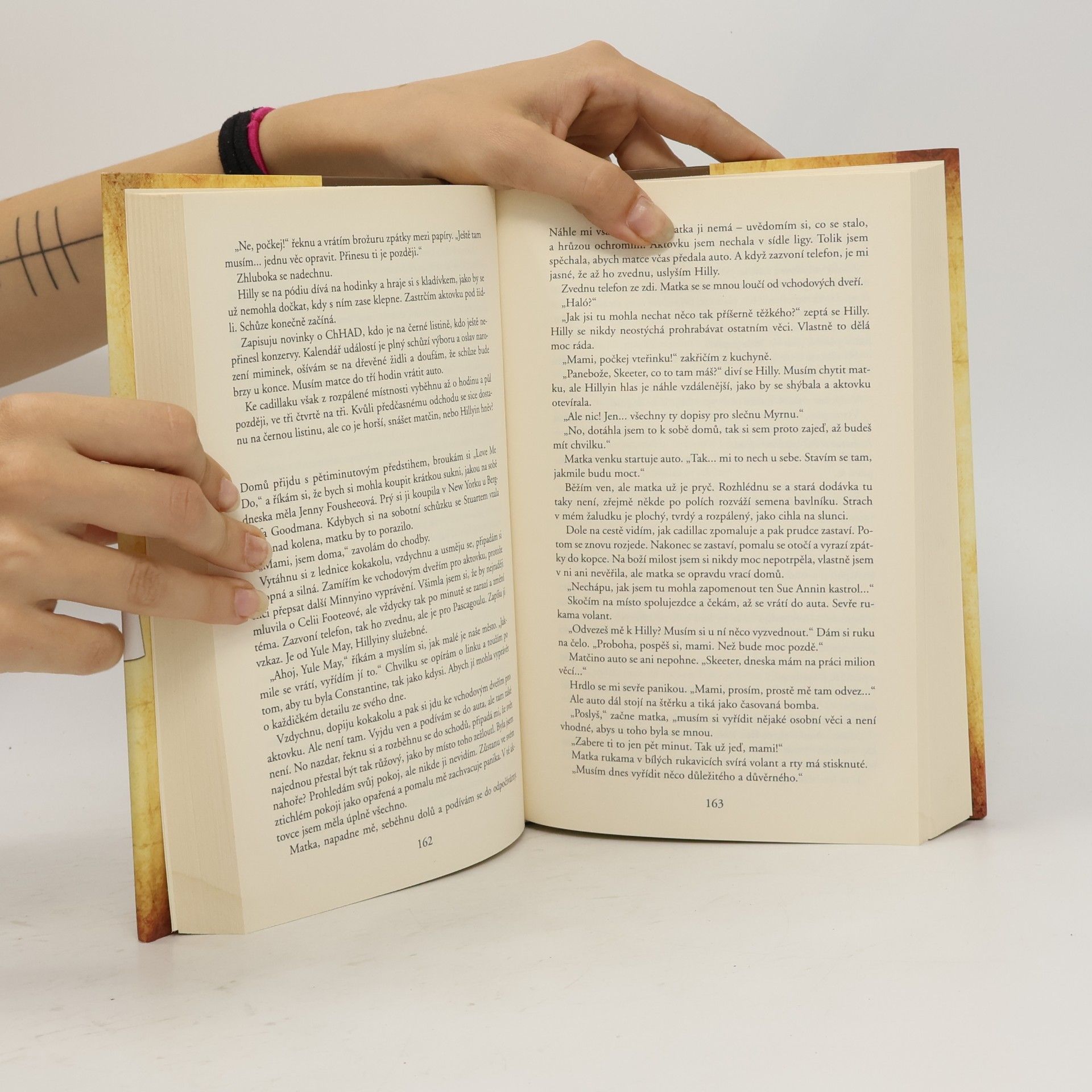 Kathryn Stockett Černobílý svět