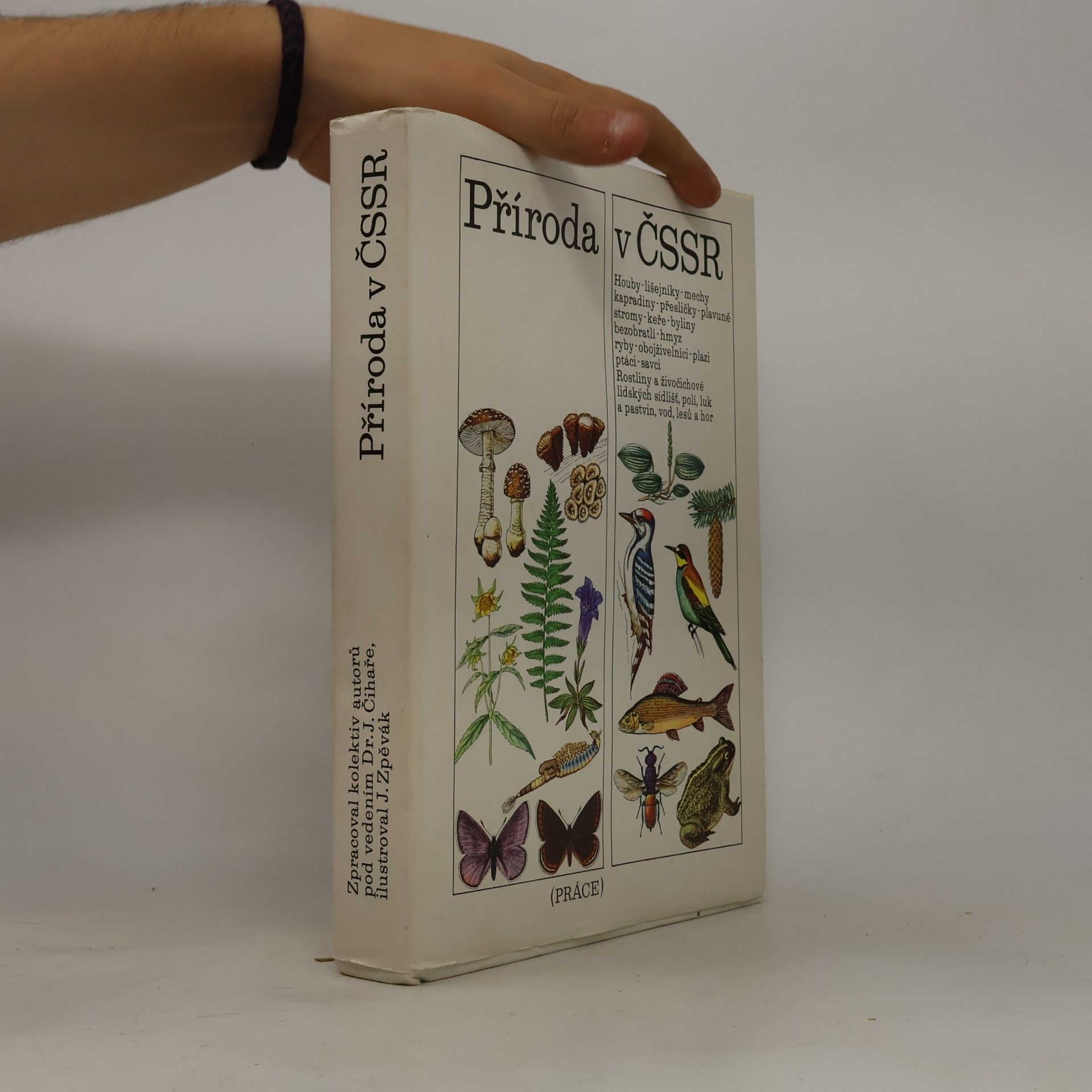 Collectif d'auteurs Příroda v ČSSR