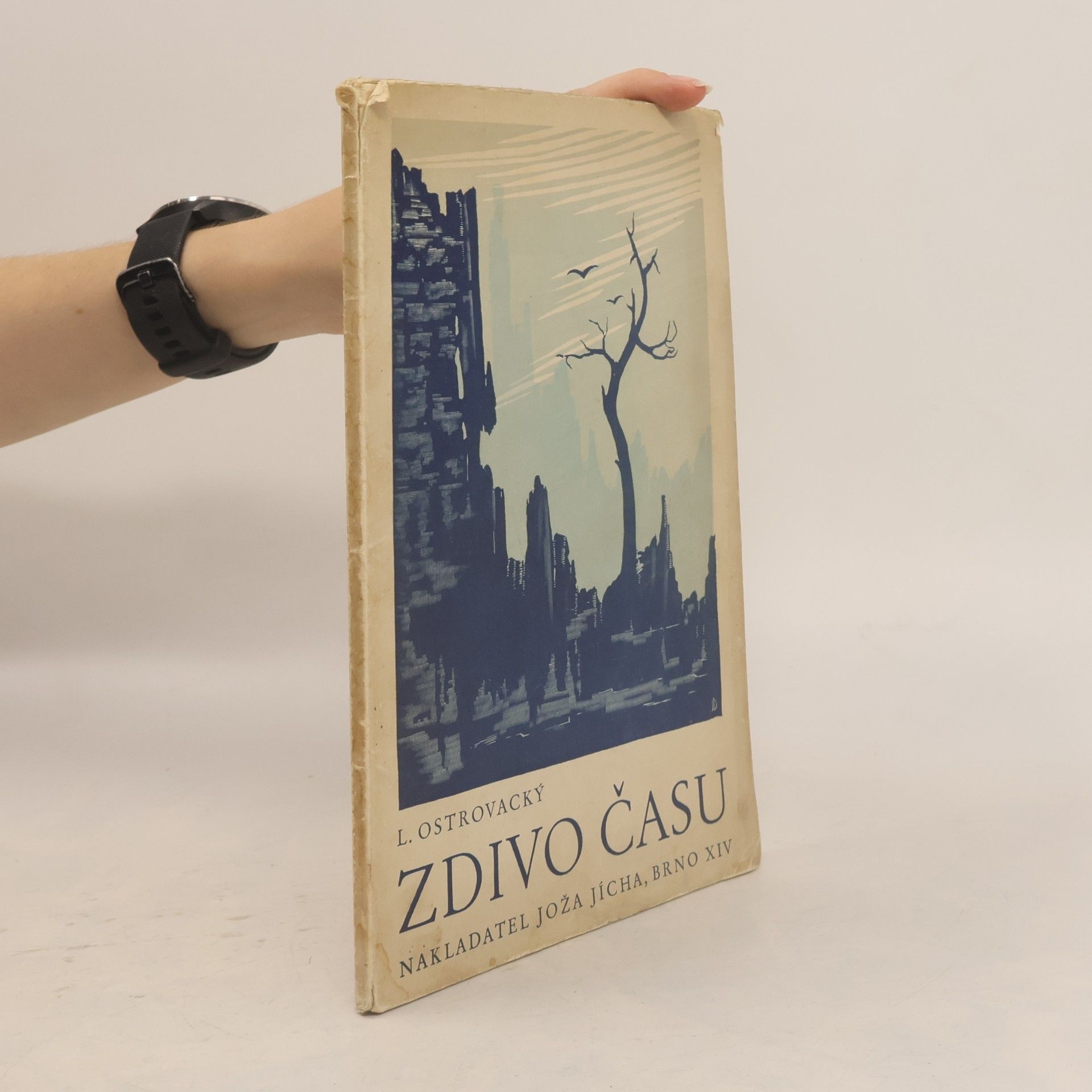 Zdivo času