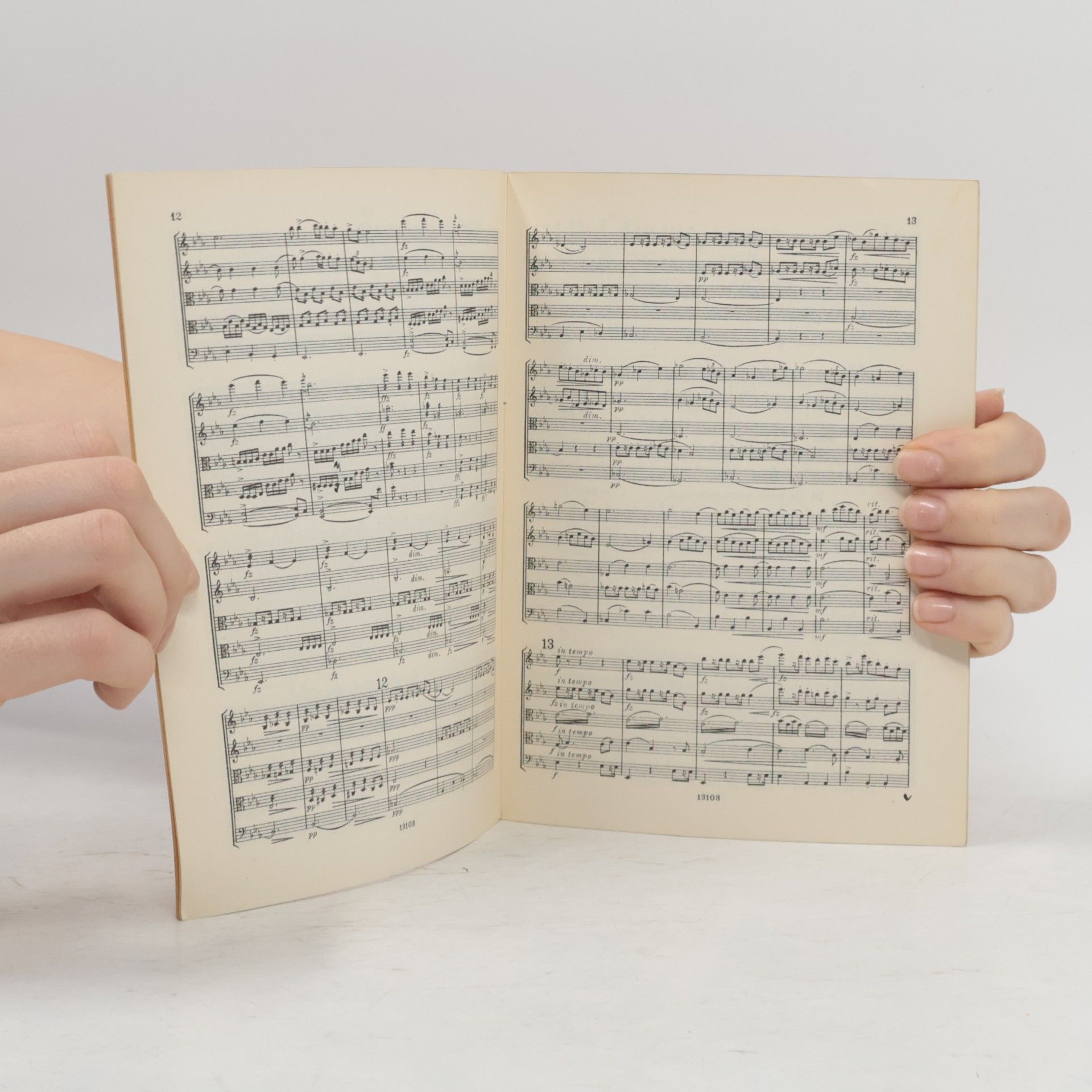 Antonín Dvořák Dvořák