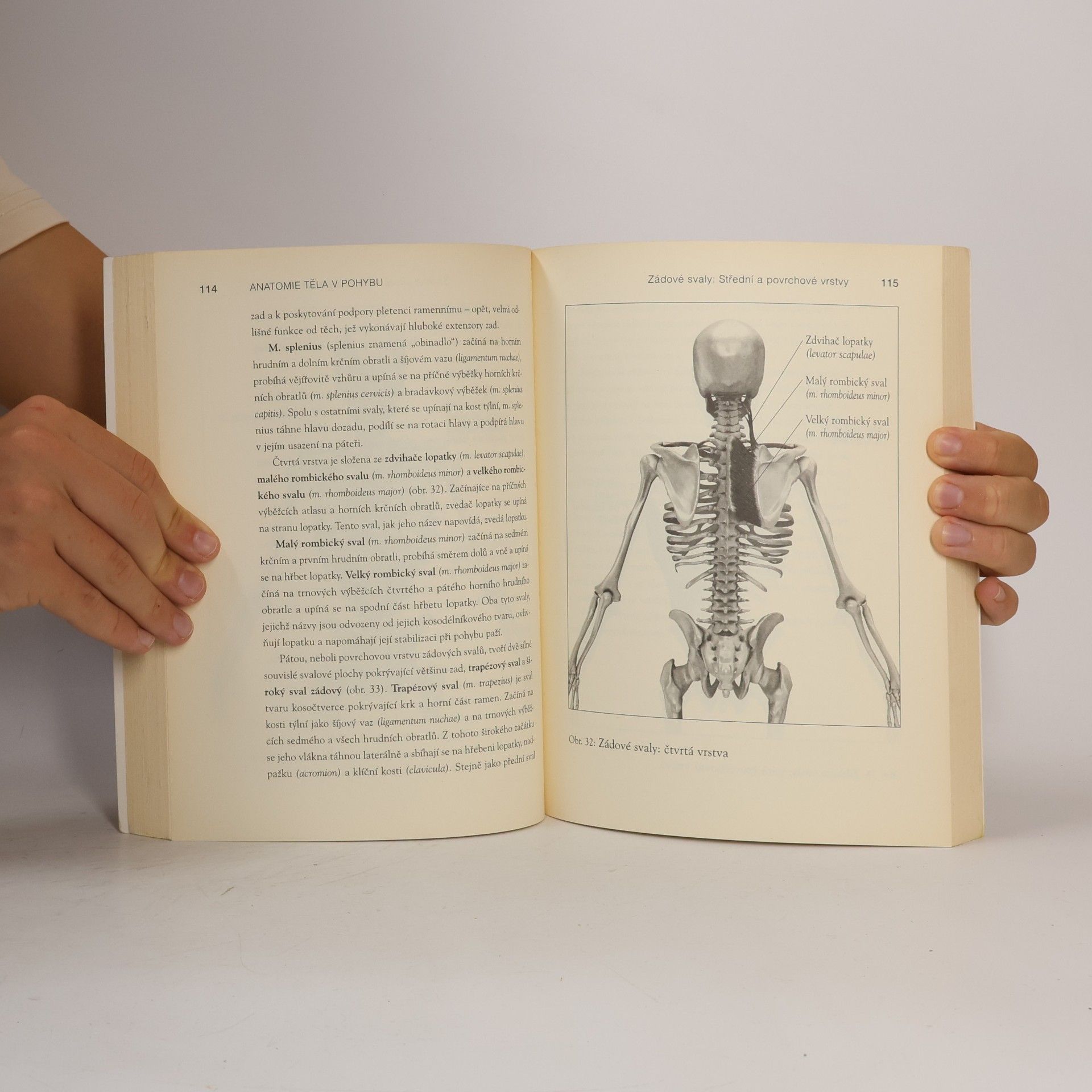 Theodore Dimon Anatomie těla v pohybu: Základní kurz anatomie kostí, svalů a kloubů