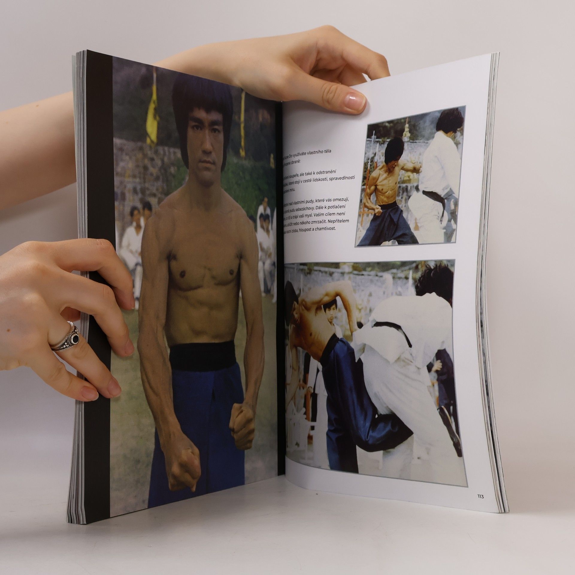 John Little Bruce lee. Kompletní příběh legendárního Zlatého draka
