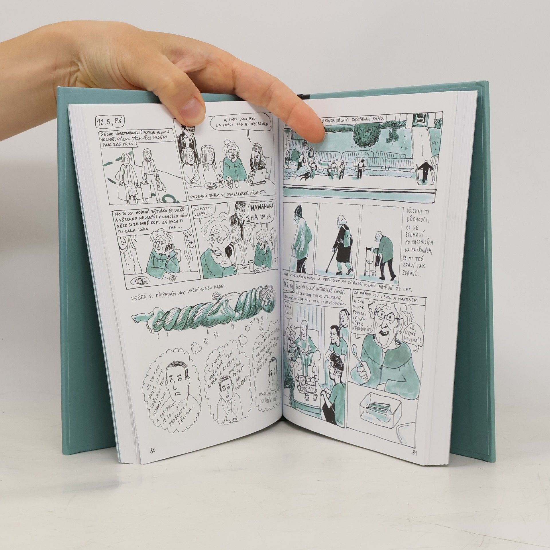 Lucie Lomová Každý den je nový : komiksový deník