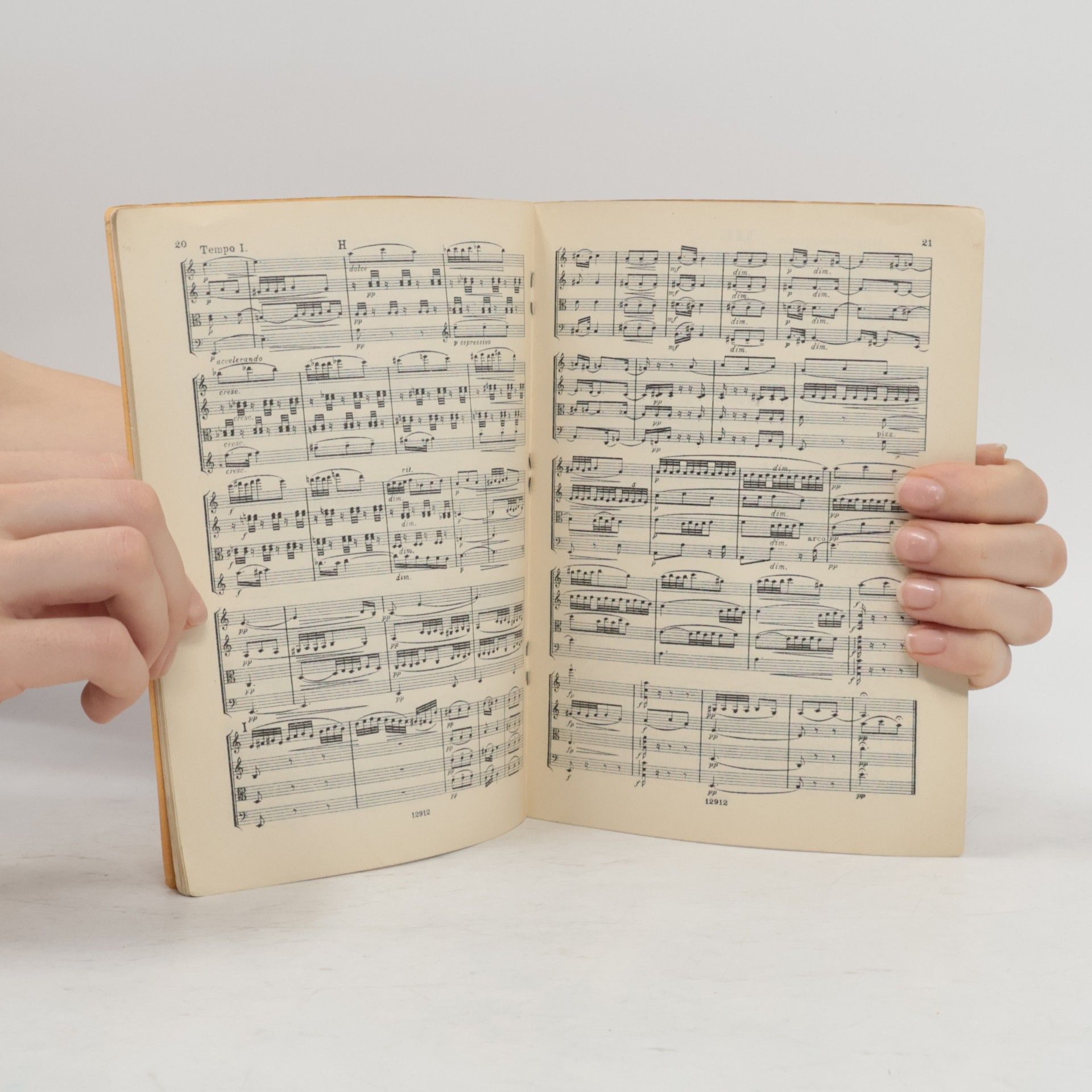 Antonín Dvořák Dvořák