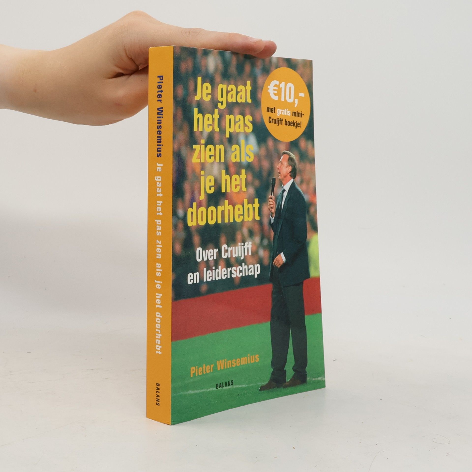 Pieter Winsemius Je gaat het pas zien als je het doorhebt