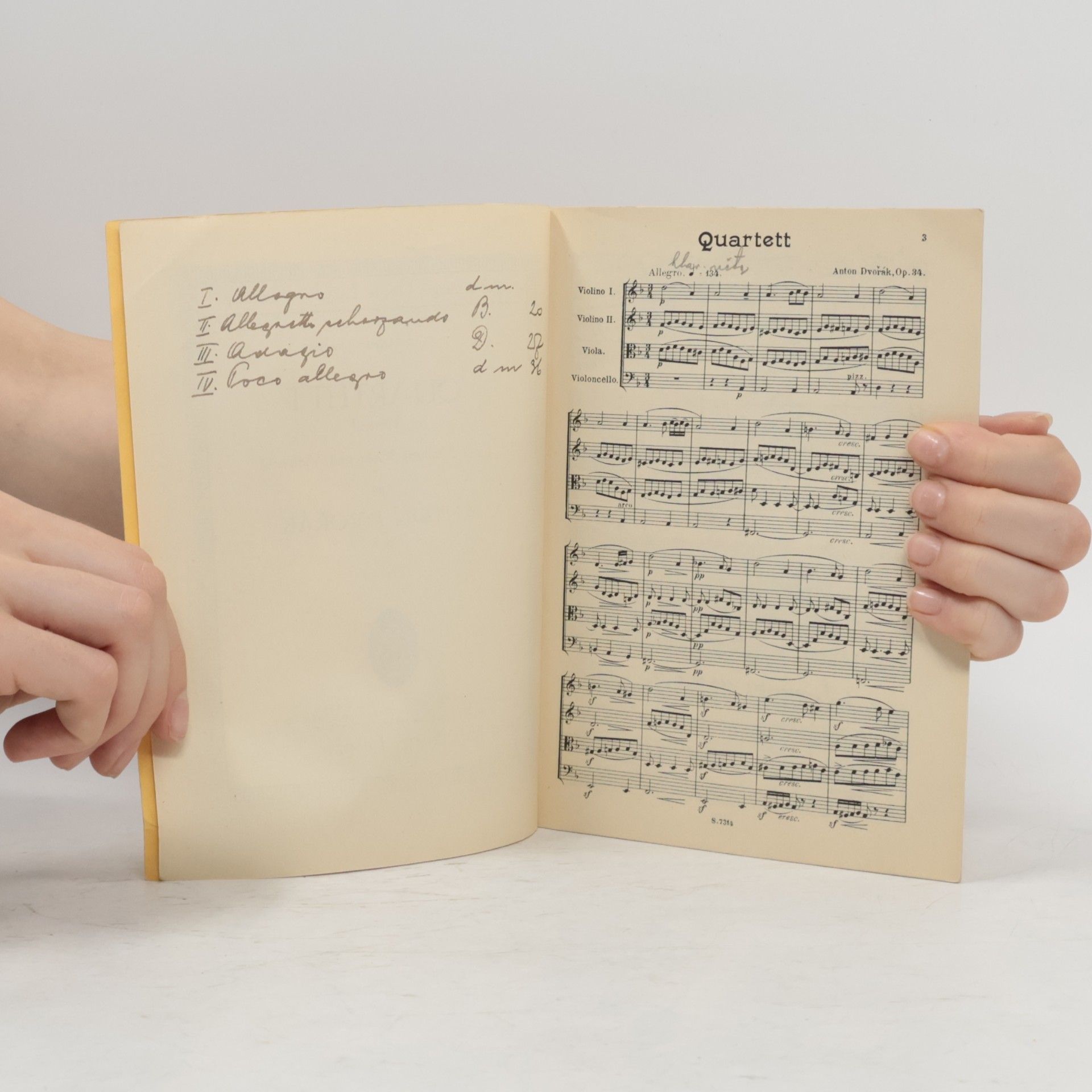Antonín Dvořák Dvořák