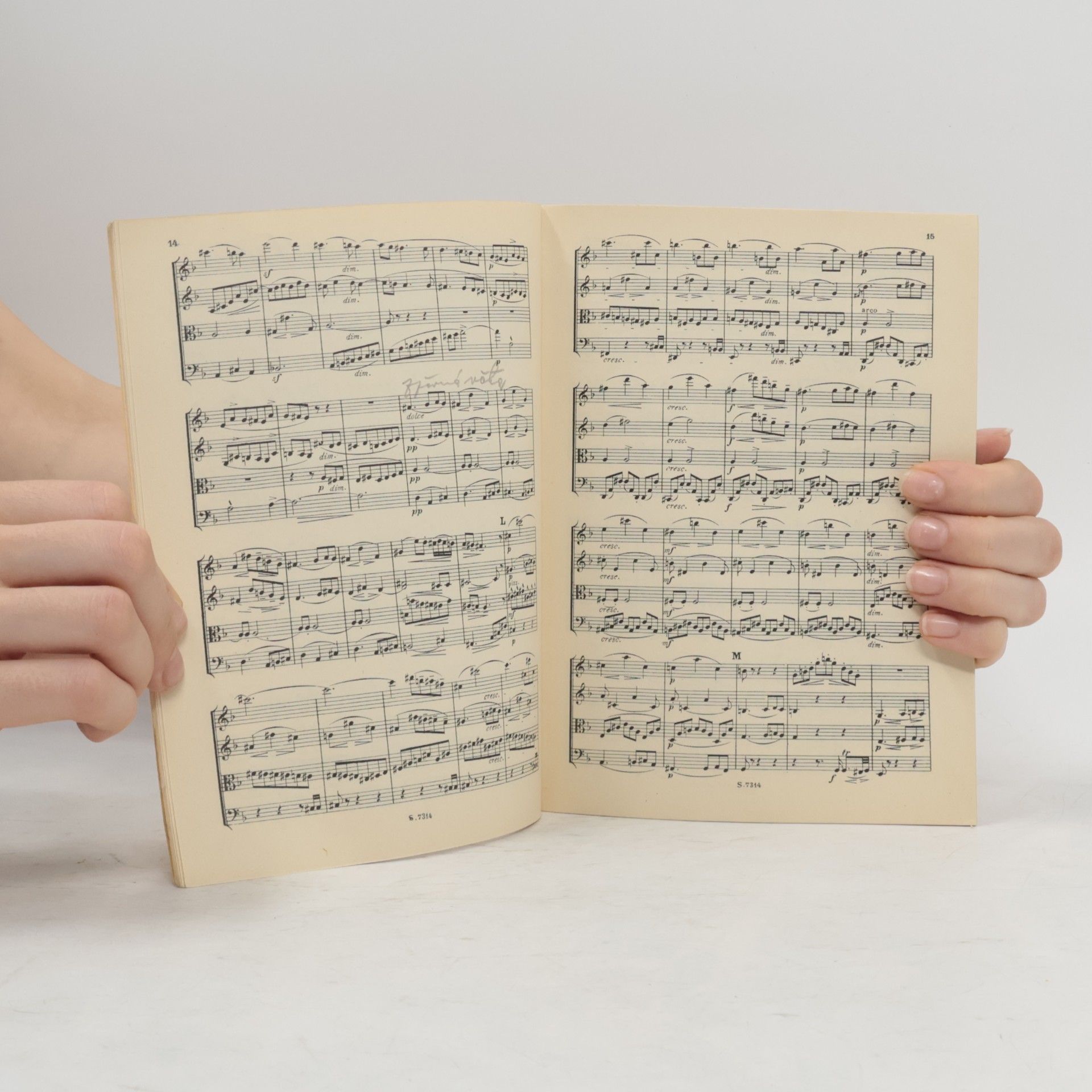 Antonín Dvořák Dvořák
