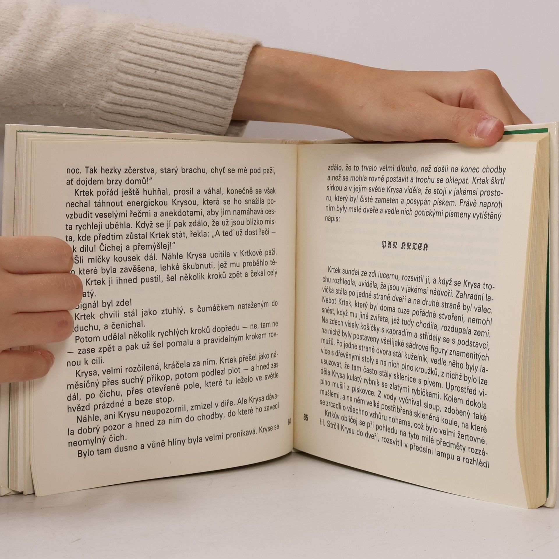 Kenneth Grahame Žabákova dobrodružství