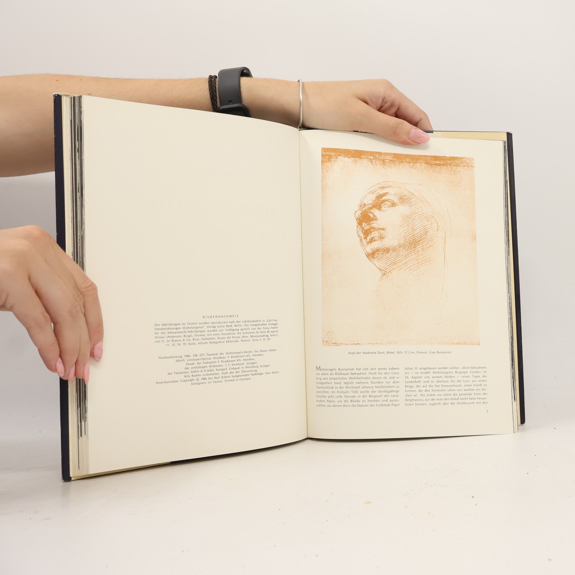 Collectif d'auteurs Michelangelo