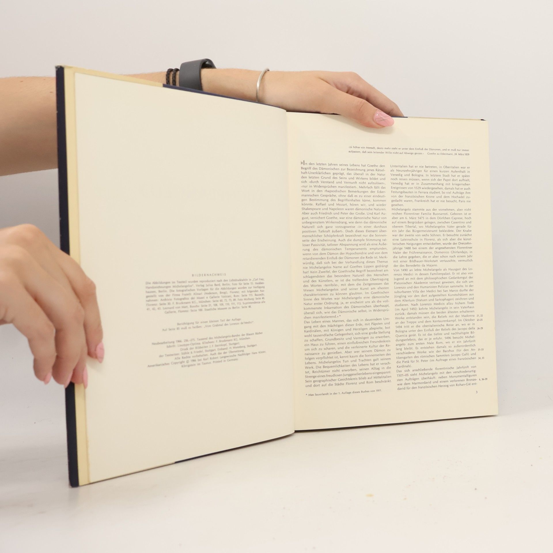 Collectif d'auteurs Michelangelo