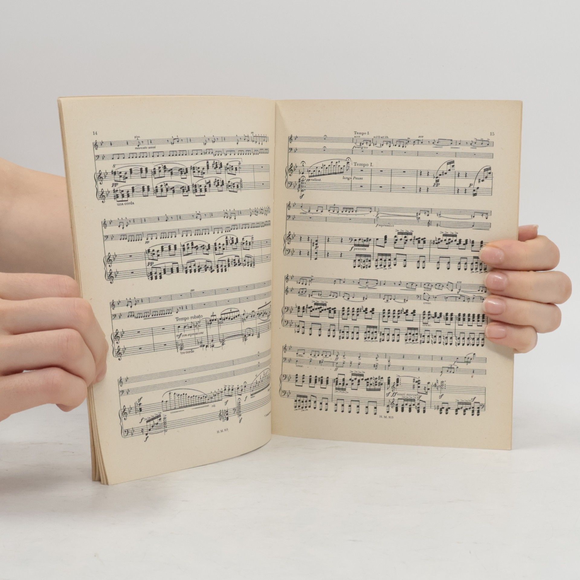 Bedřich Smetana Klavírní trio G moll