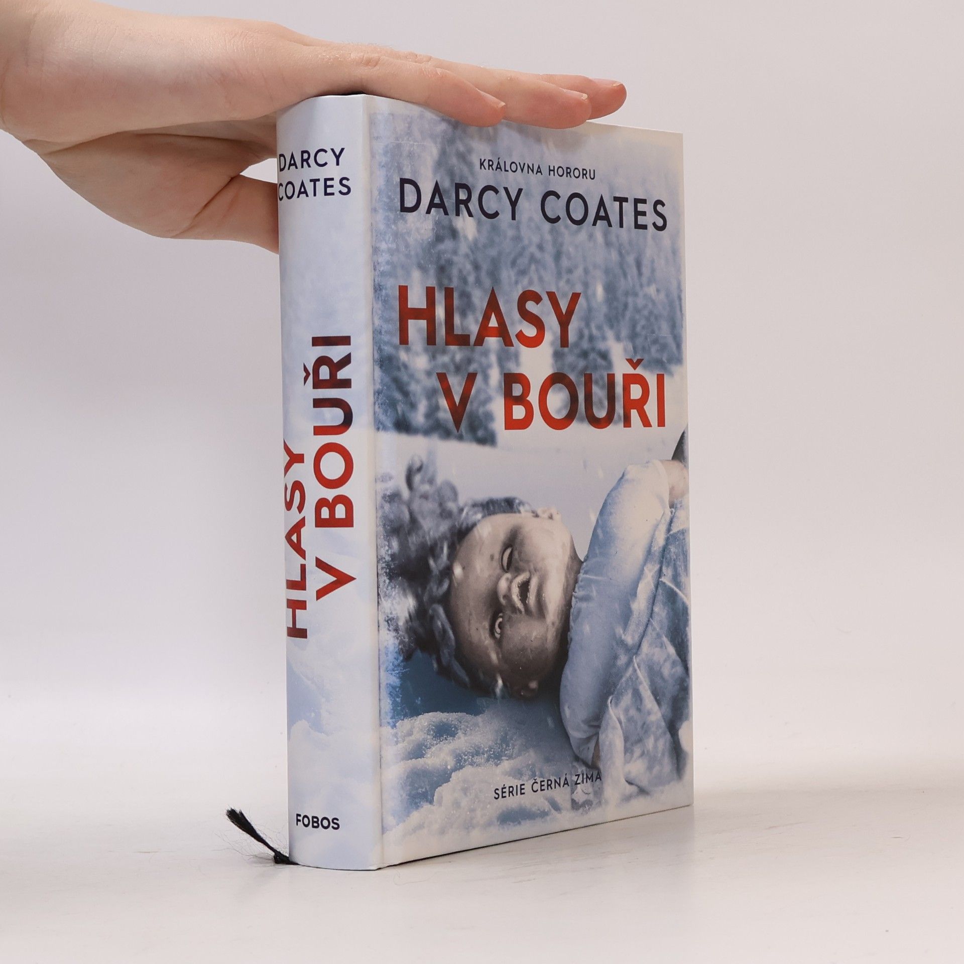 Darcy Coates Hlasy v bouři