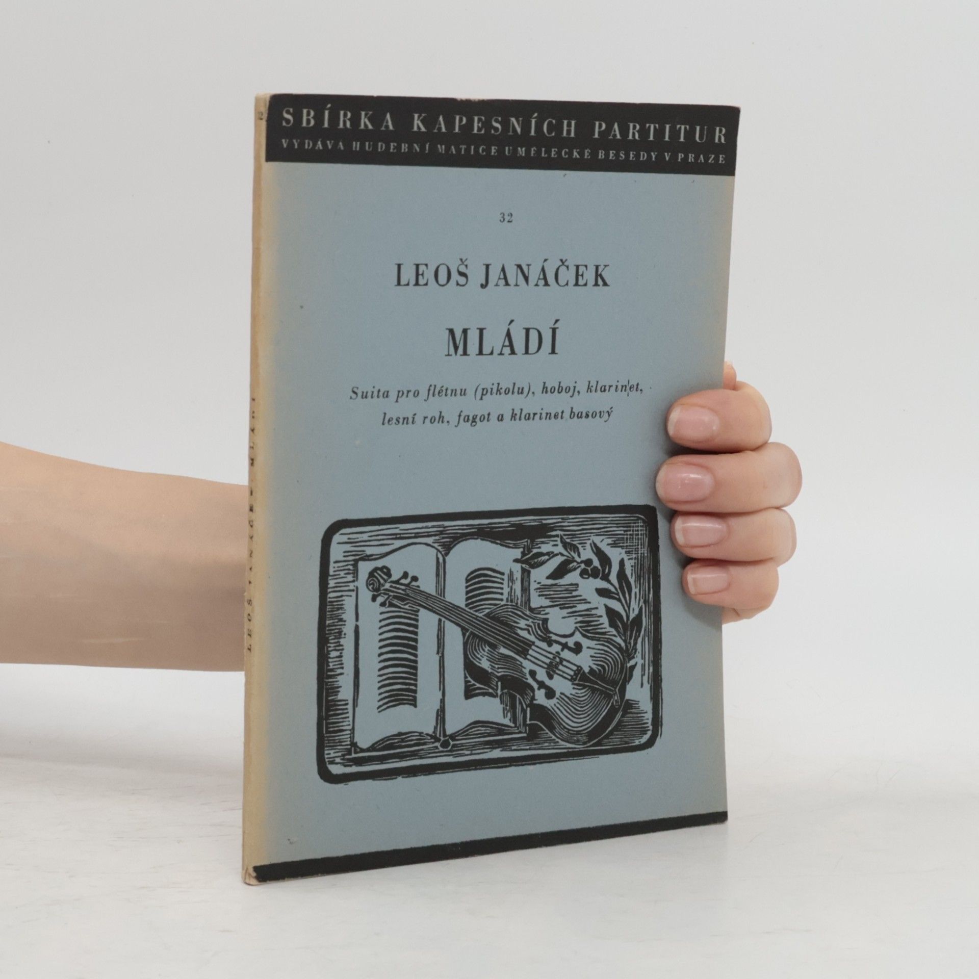 Mládí