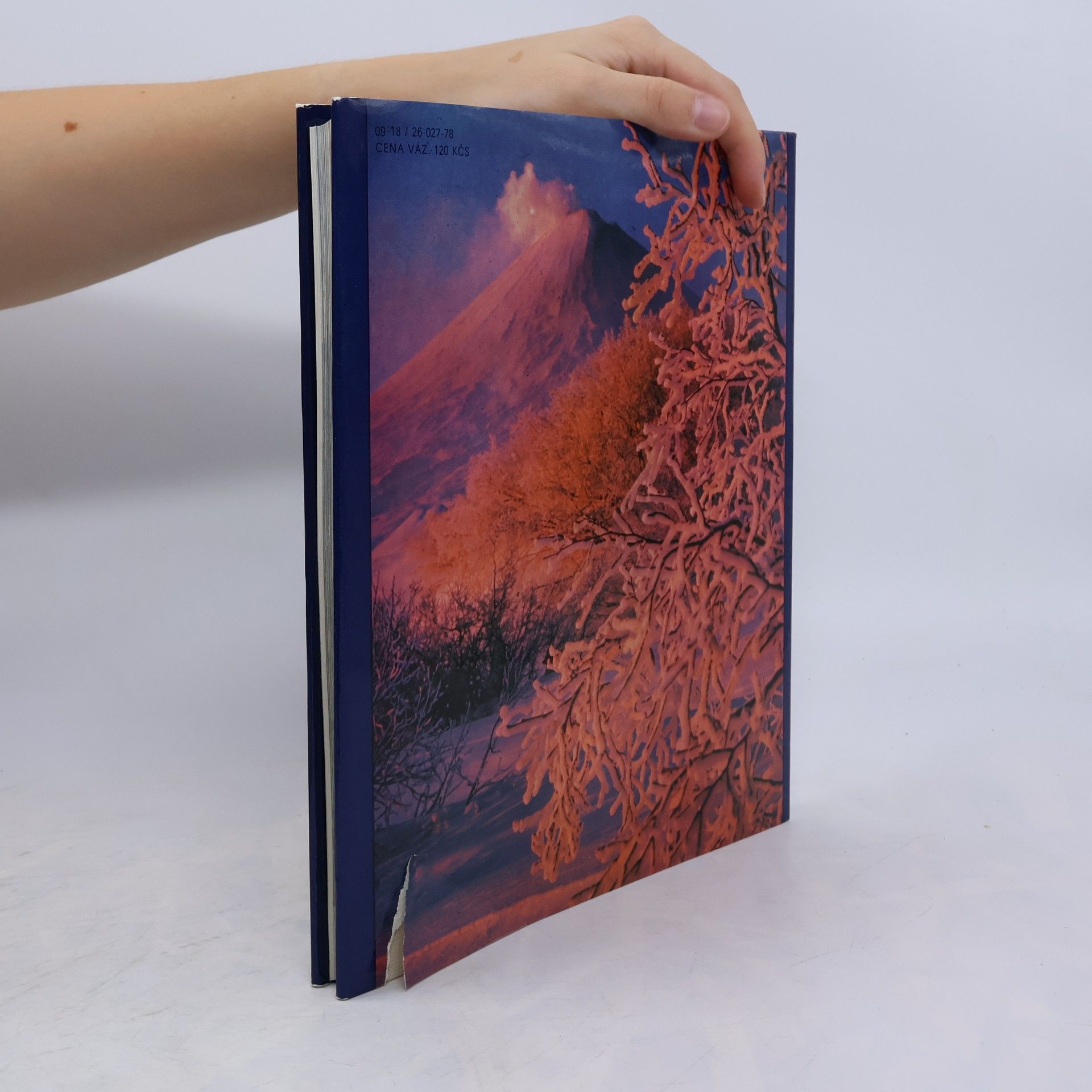 Various authors Sovětský svaz ve fotografii