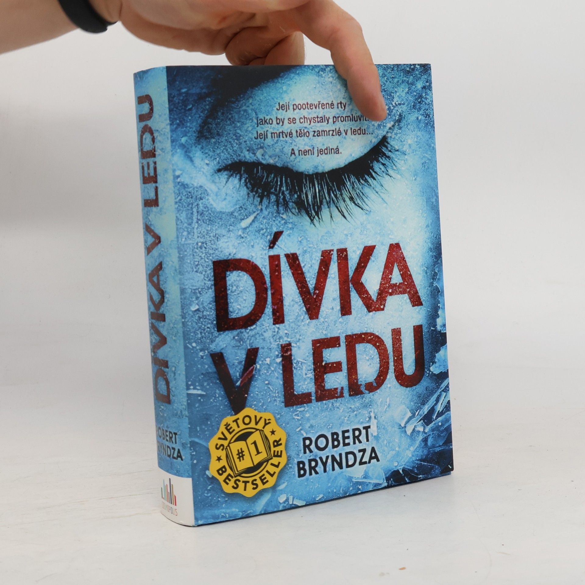 Robert Bryndza Dívka v ledu