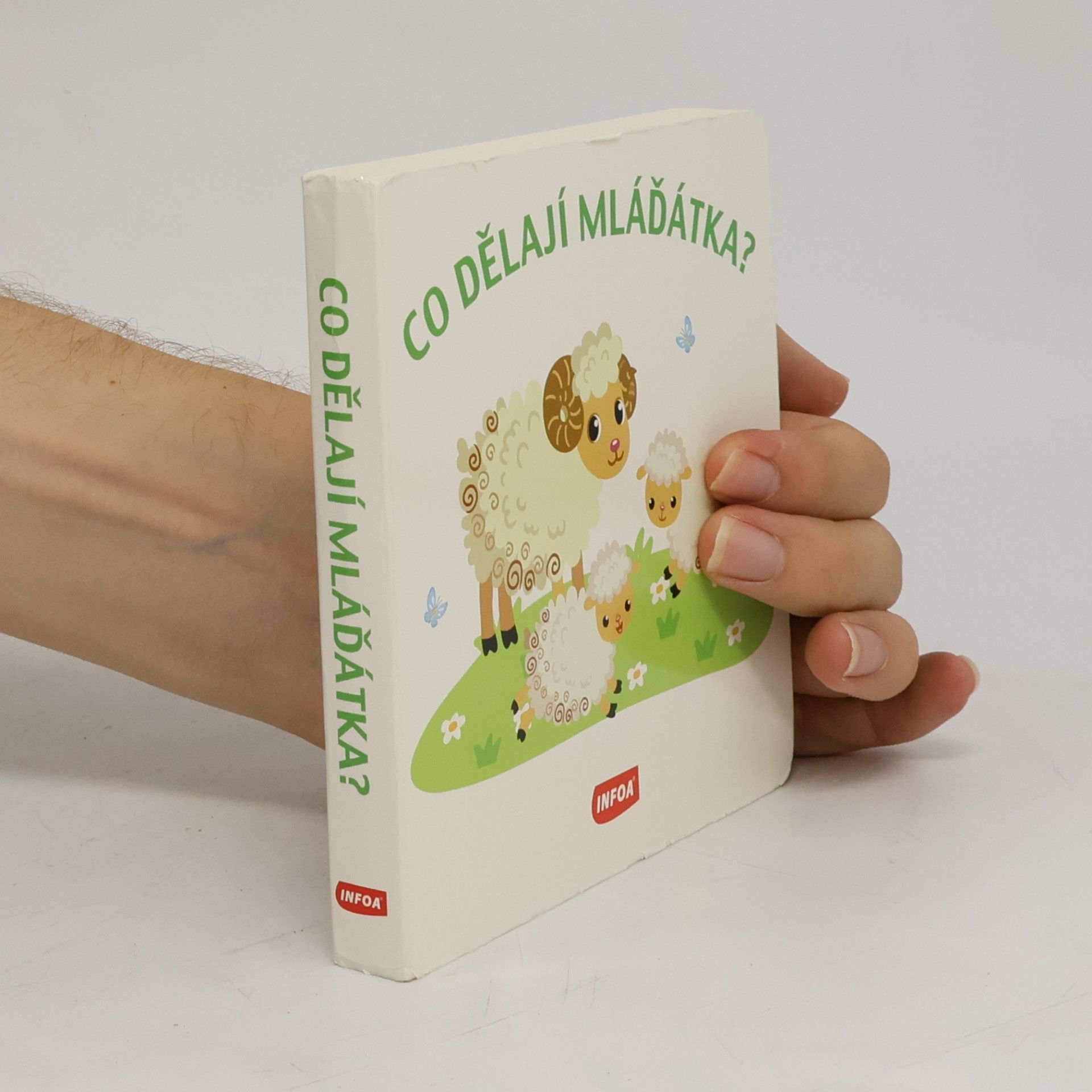 Autorenkollektiv Co dělají mláďátka?
