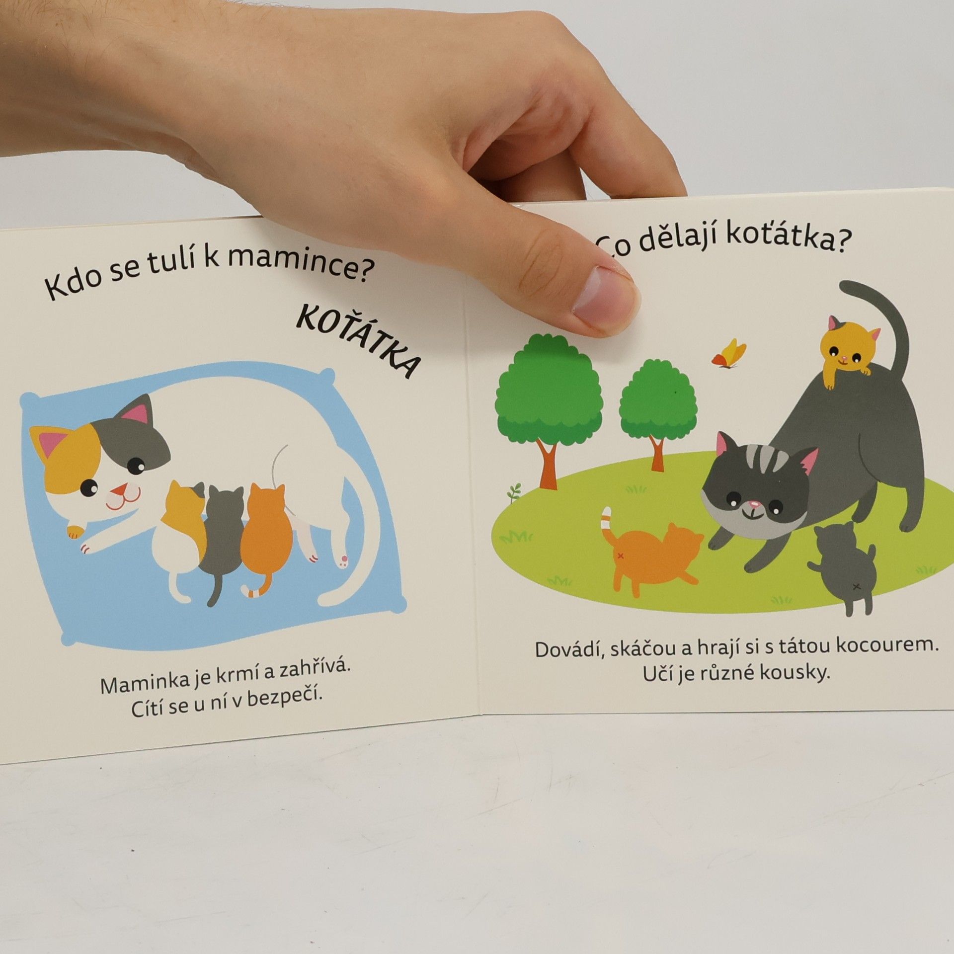 Autorenkollektiv Co dělají mláďátka?