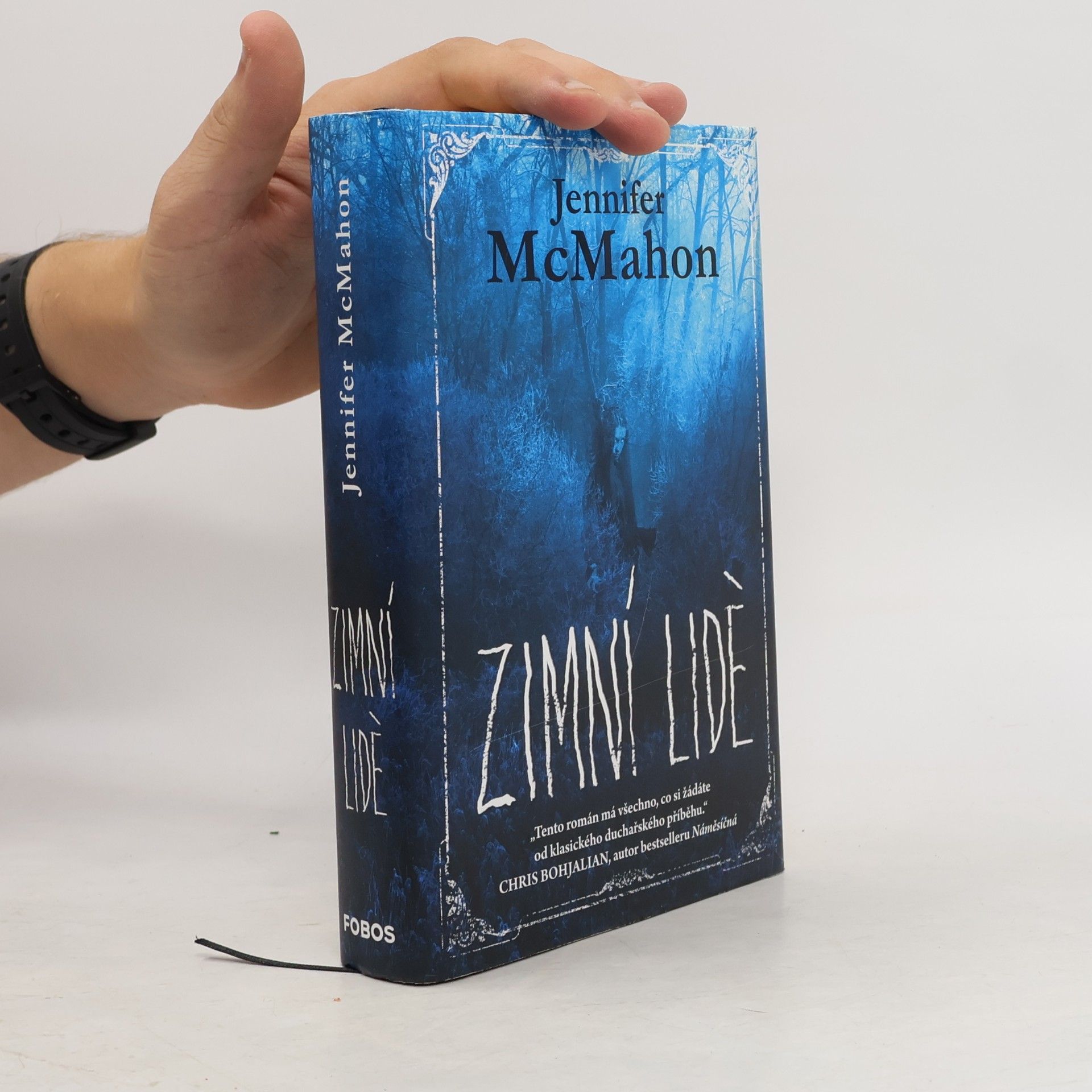 Jennifer McMahon Zimní lidé