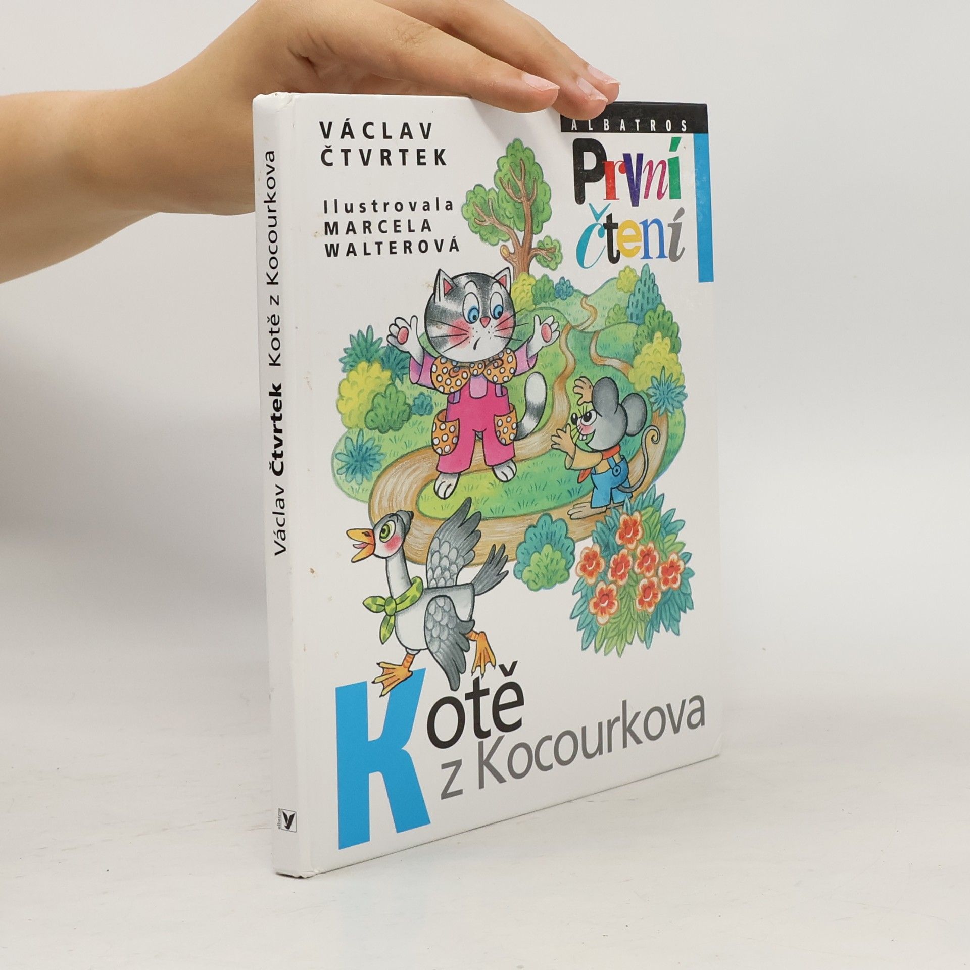Kotě z Kocourkova