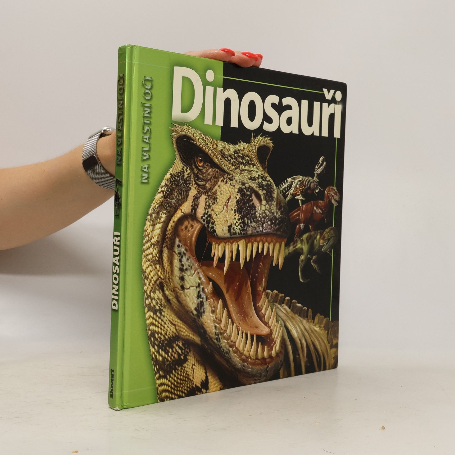 Romana Anděrová Dinosauři