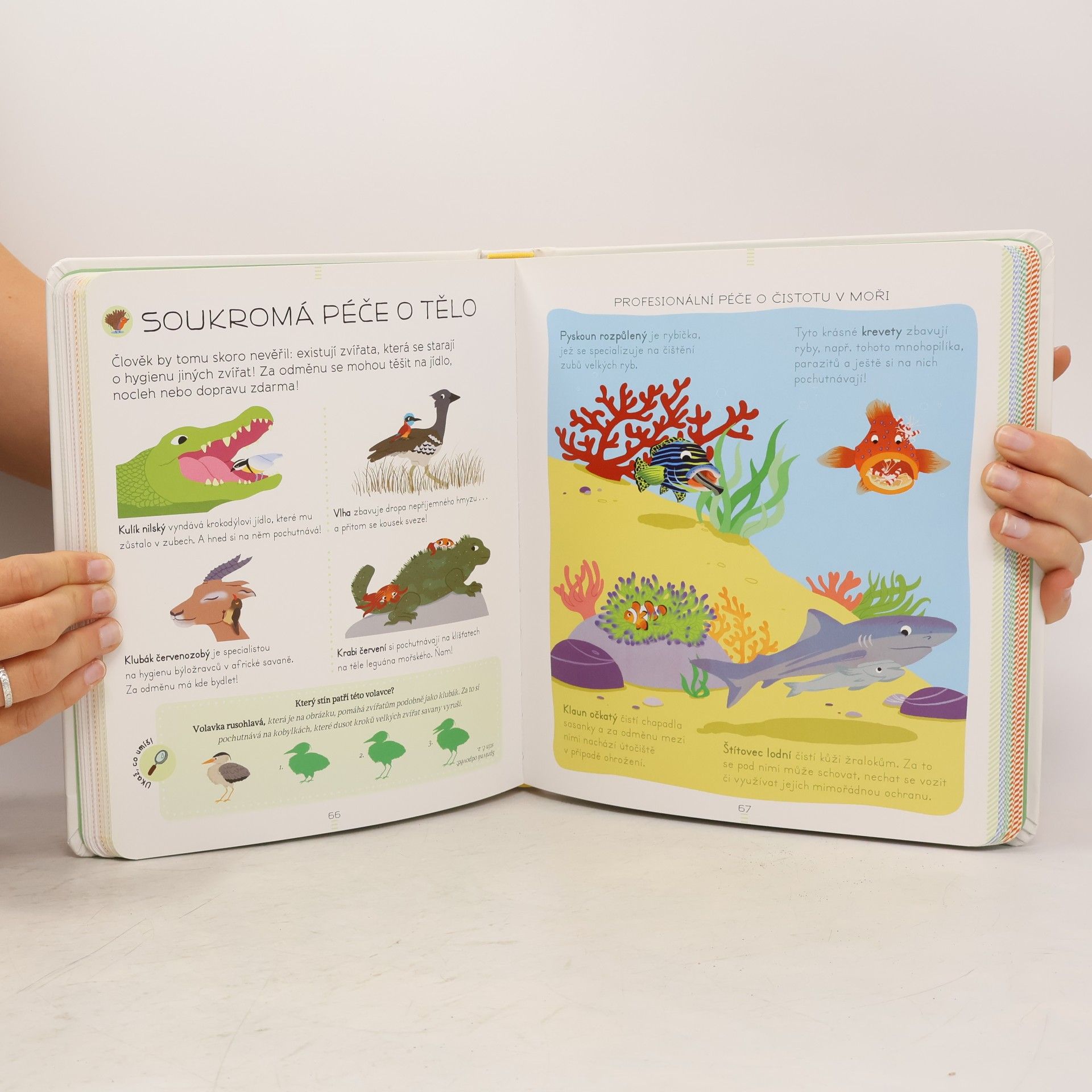 Sylvie Bézuel Zvířata: Encyklopedie Larousse