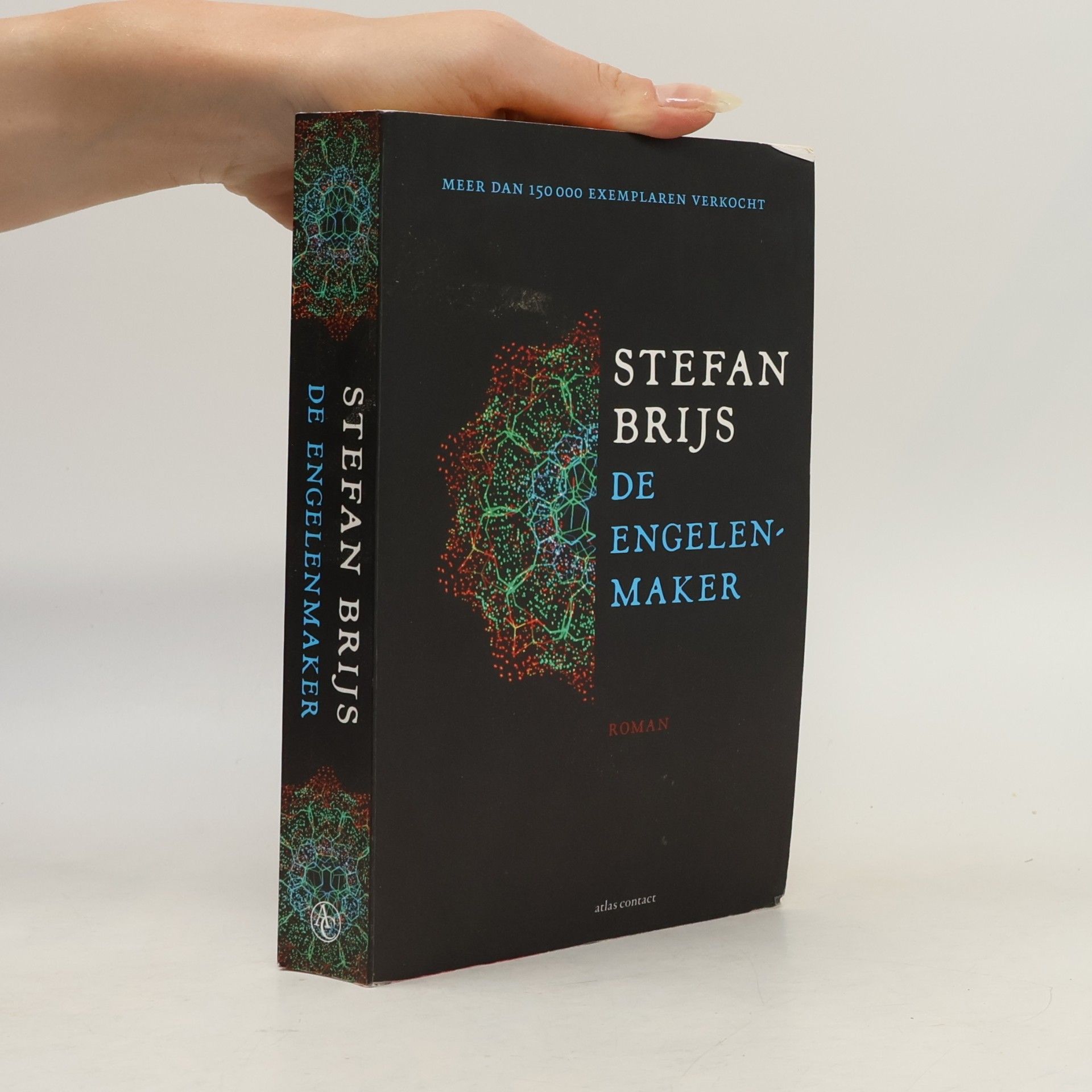Stefan Brijs De engelenmaker